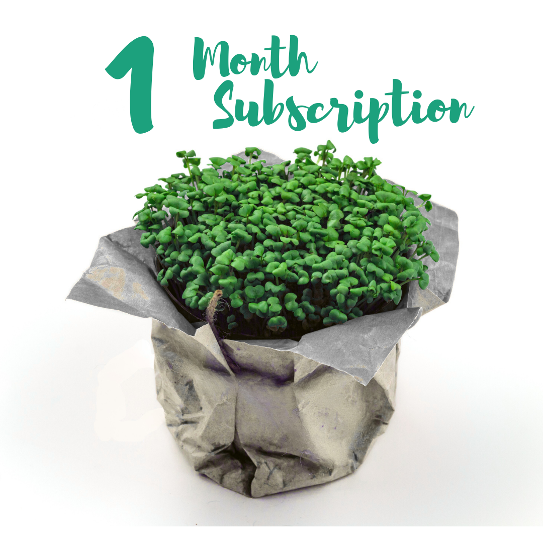 One Month Microgreens Gift Voucher
