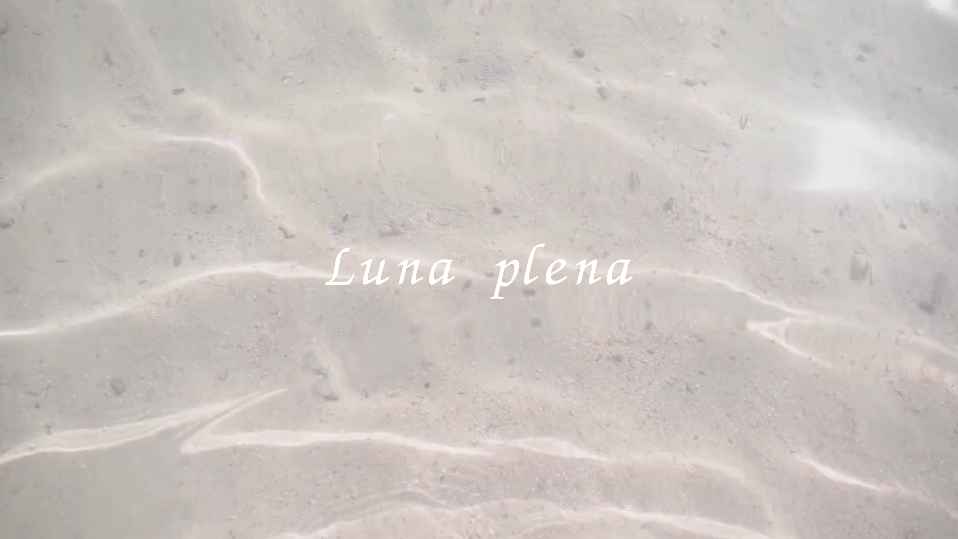 2026年🎍新しいHPで再スタート致します！ 　