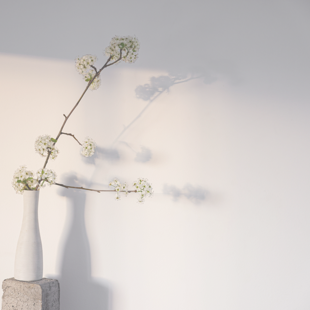 自分を「空」にする、新年の再起動🌿