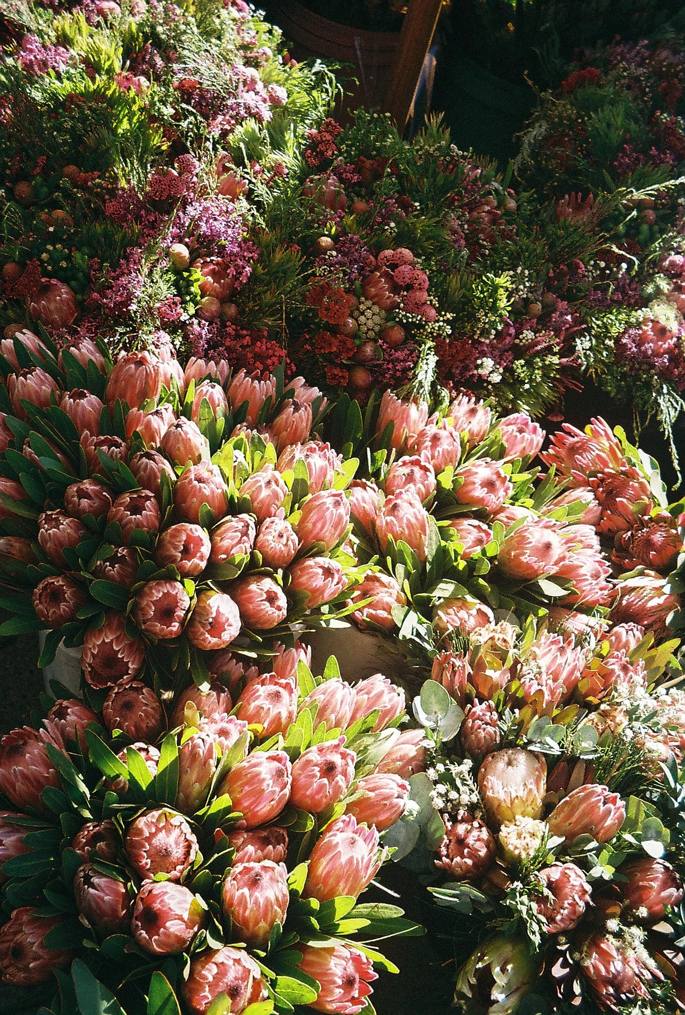 R1-08865-015A.jpg