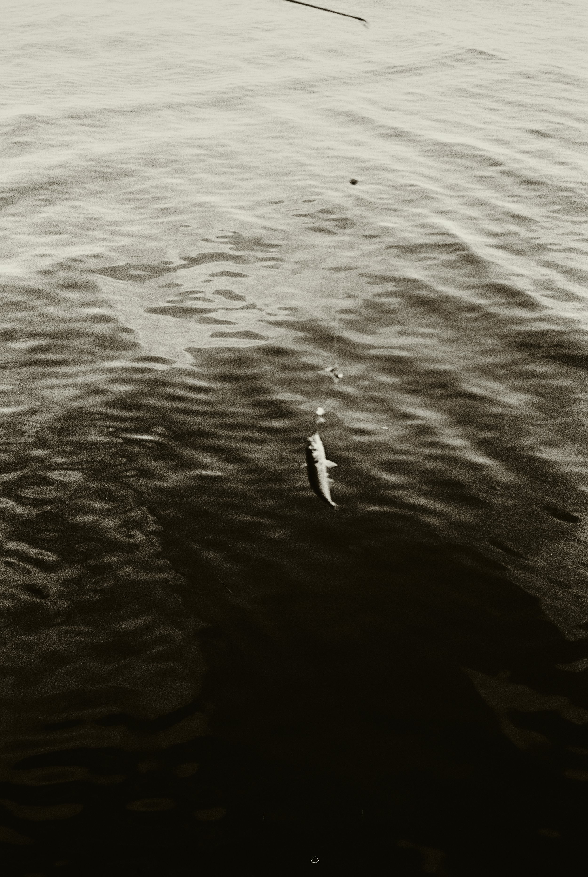 000042.jpg