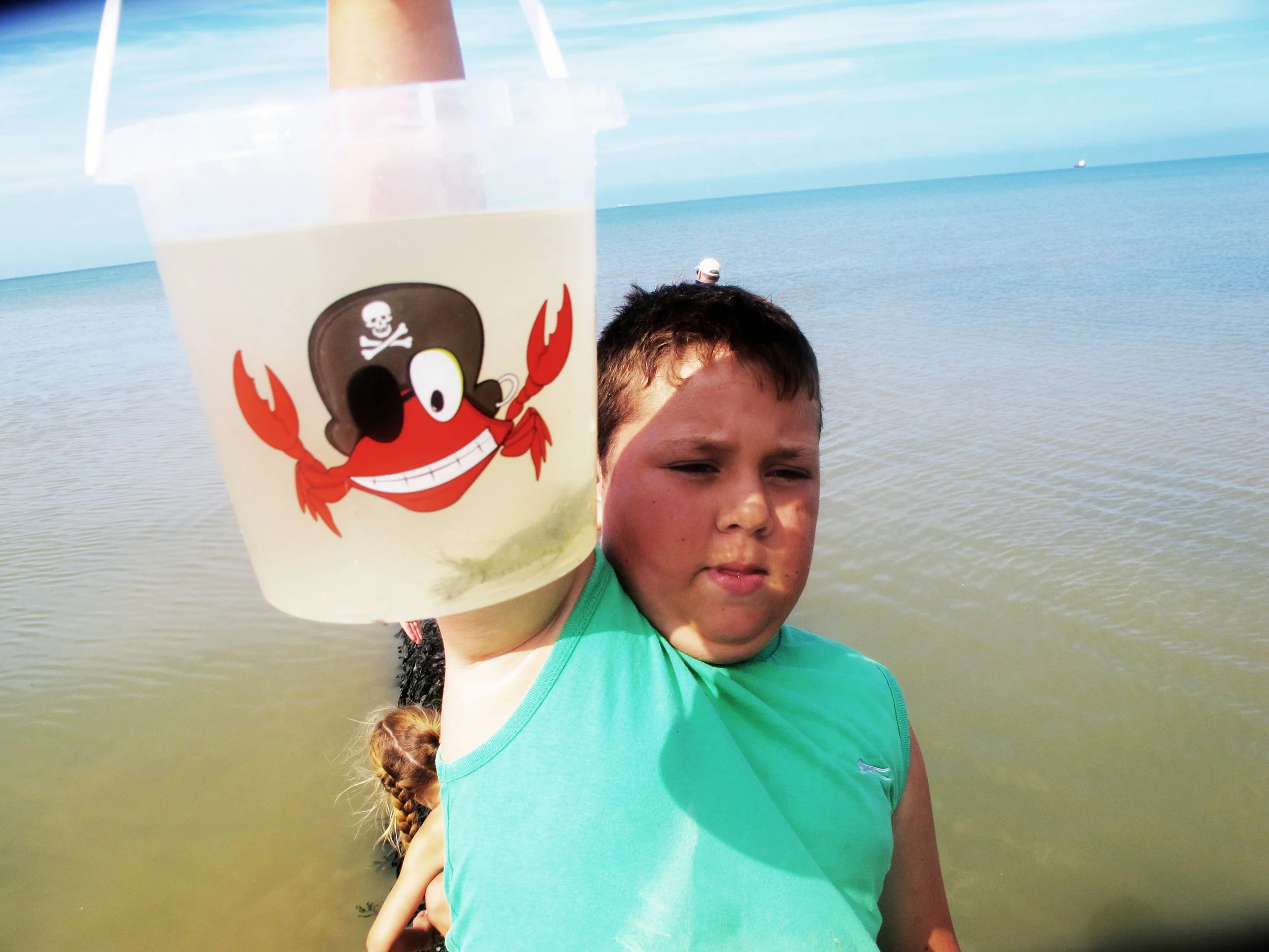How to Go Crabbing (Properly)