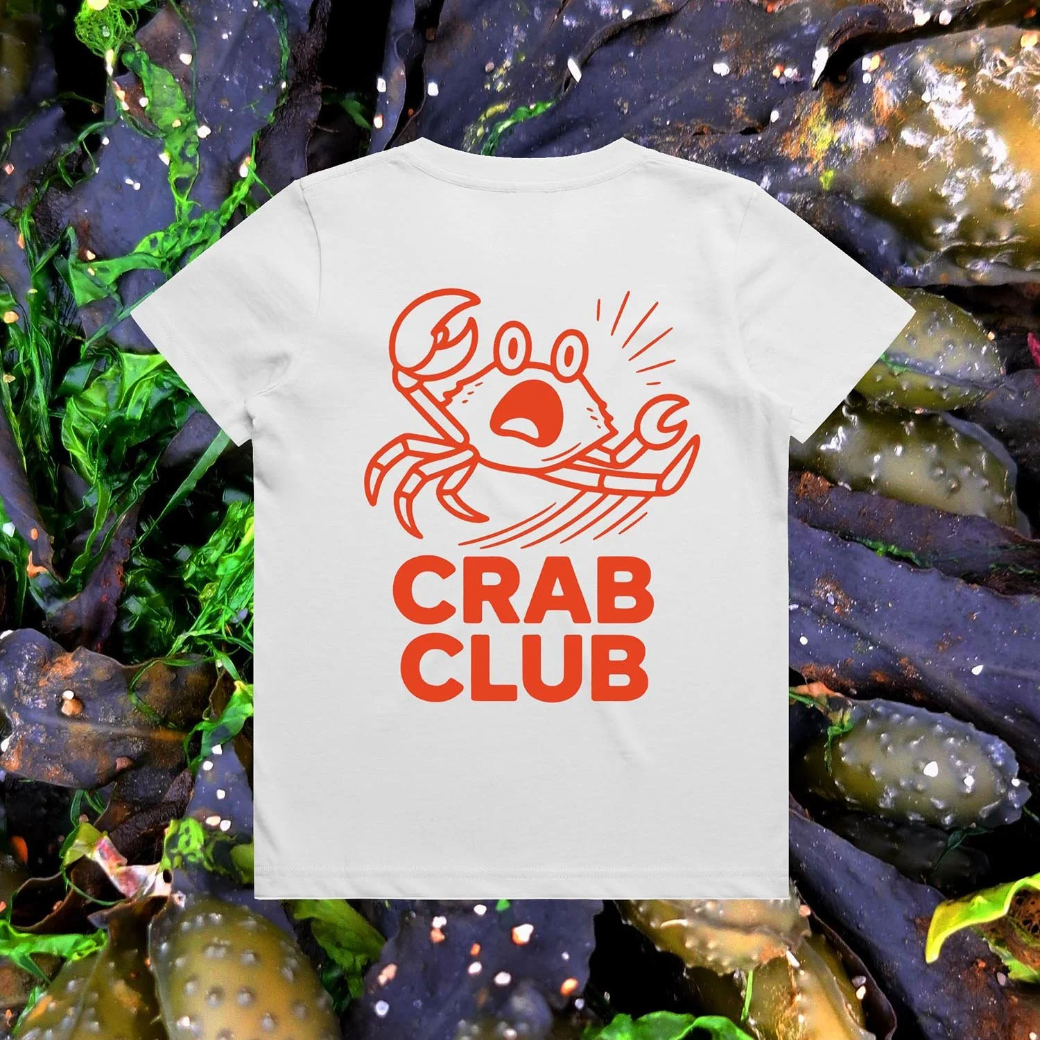 3005_SEAWEED_KIDS_STAPLE_TEE_ECRU_BACK (PHOTOSHOPPED).jpg