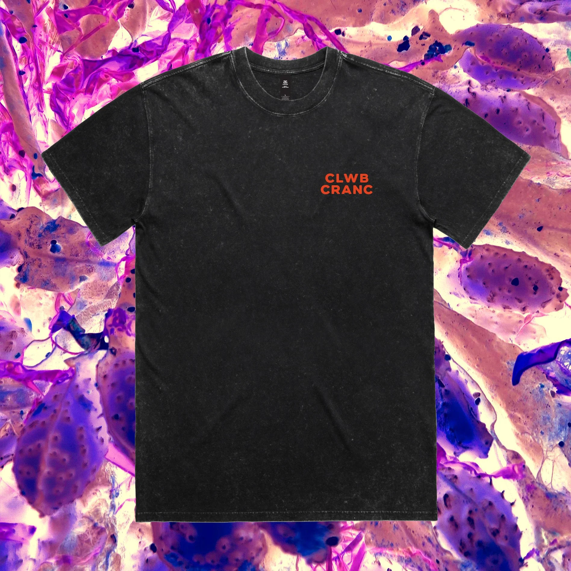 5085_STONE_WASH_HEAVY_TEE_BLACK_STONE_WELSHjpg.jpg