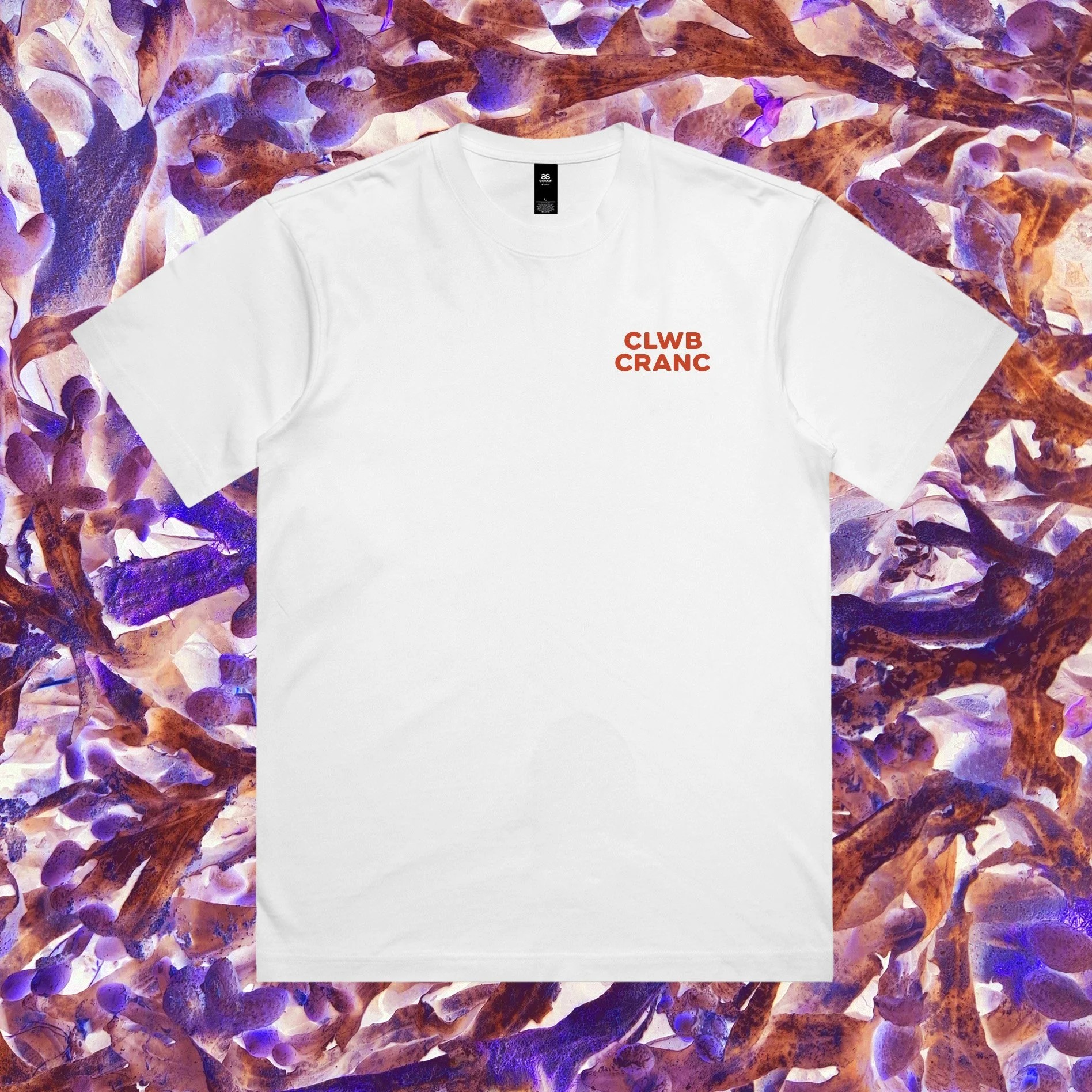 5030_BOX_TEE_WHITE 2.jpg