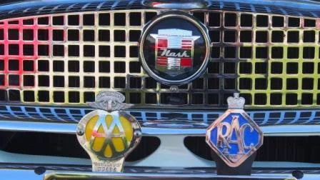 Close-up of a car grille with two metallic badges attached, one with the McDonald's logo and the other with a HAC badge.