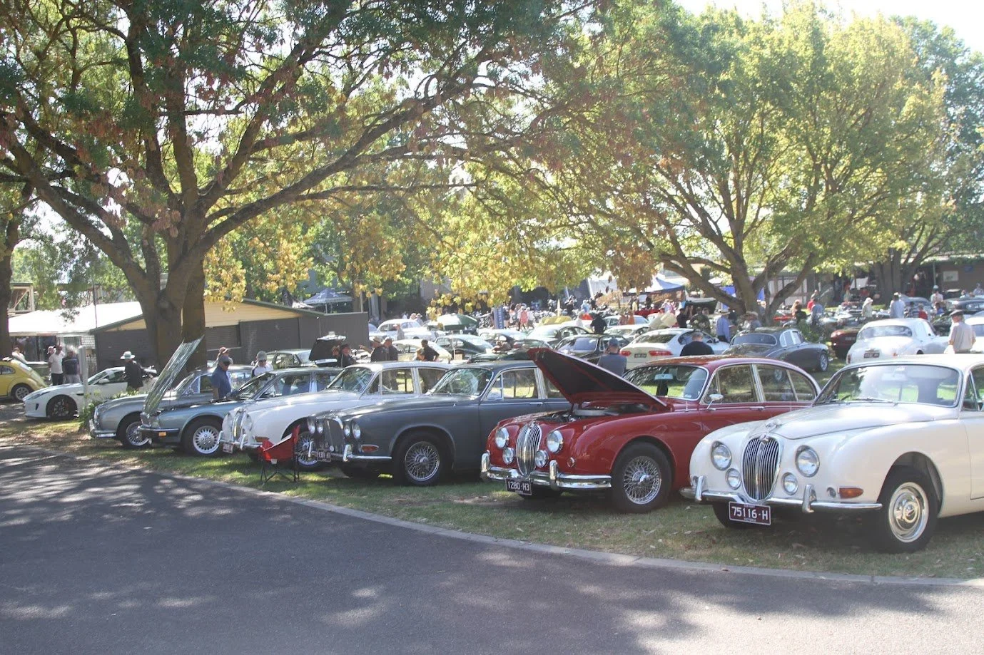 British and European Motoring Show 2026