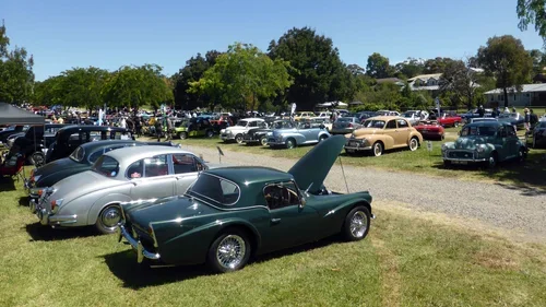 A classic green car with its hood open parked on grass at a vintage car show, with other classic cars and trees in the background.
