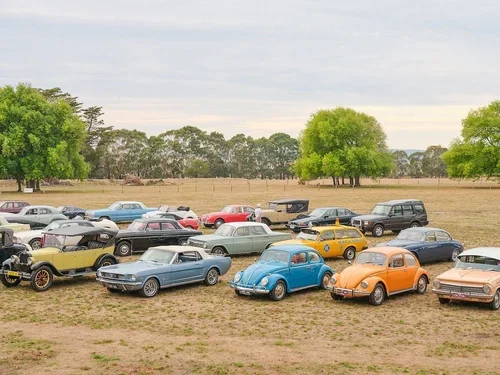 A collection of vintage and classic cars parked outdoors on grass, with trees and overcast sky in the background.