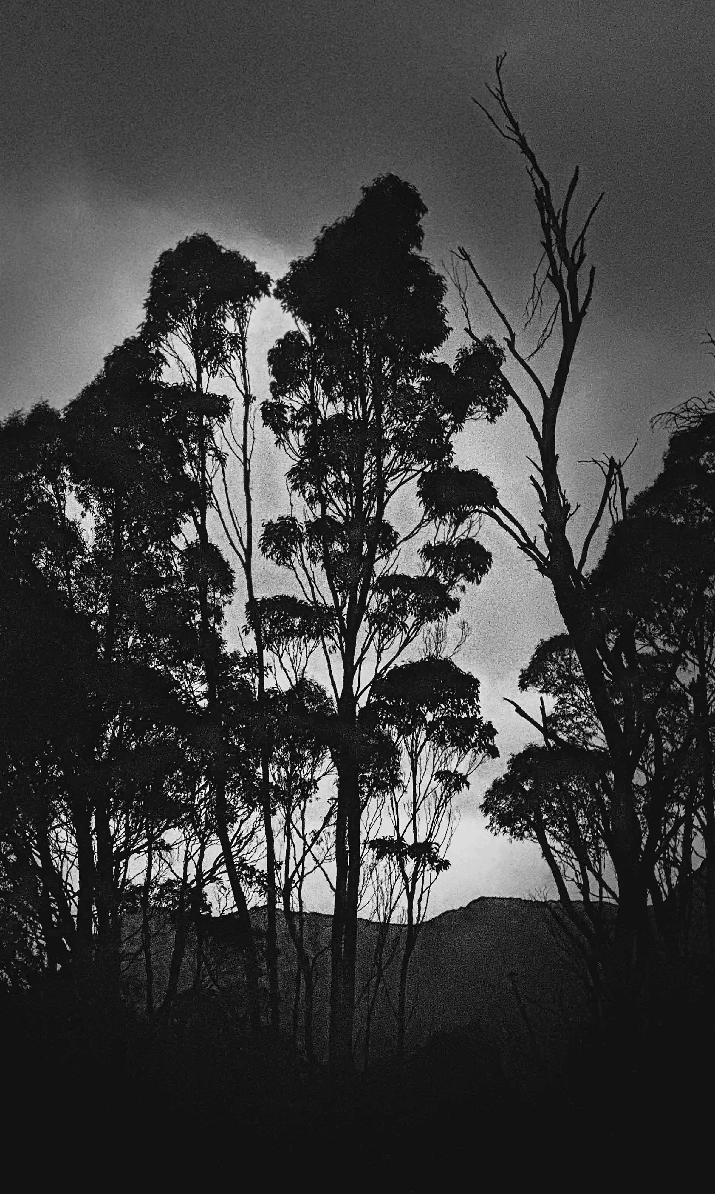 Black & White Photography Silke Bader — Silke K Bader
