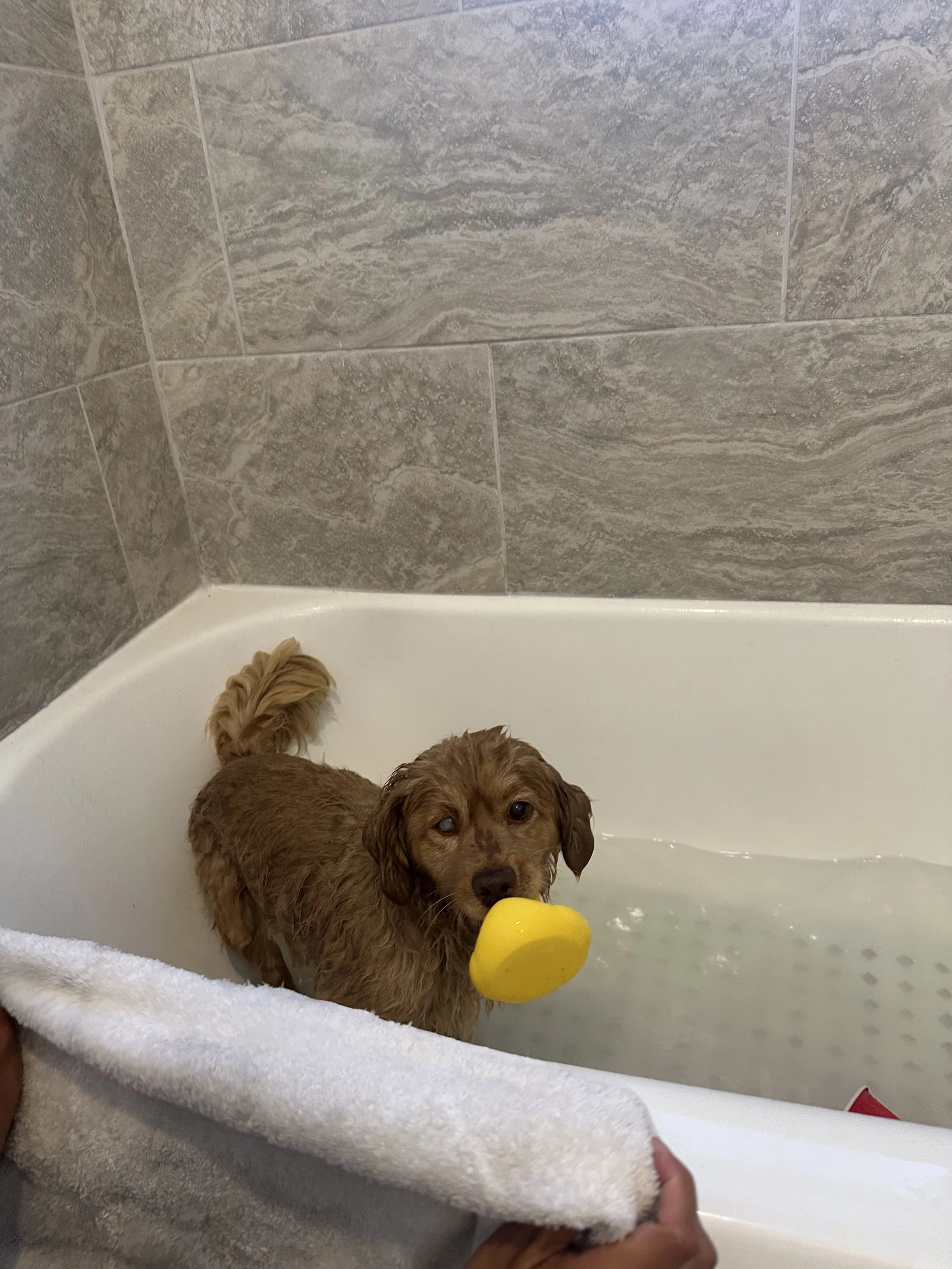 IMG_0406.jpeg