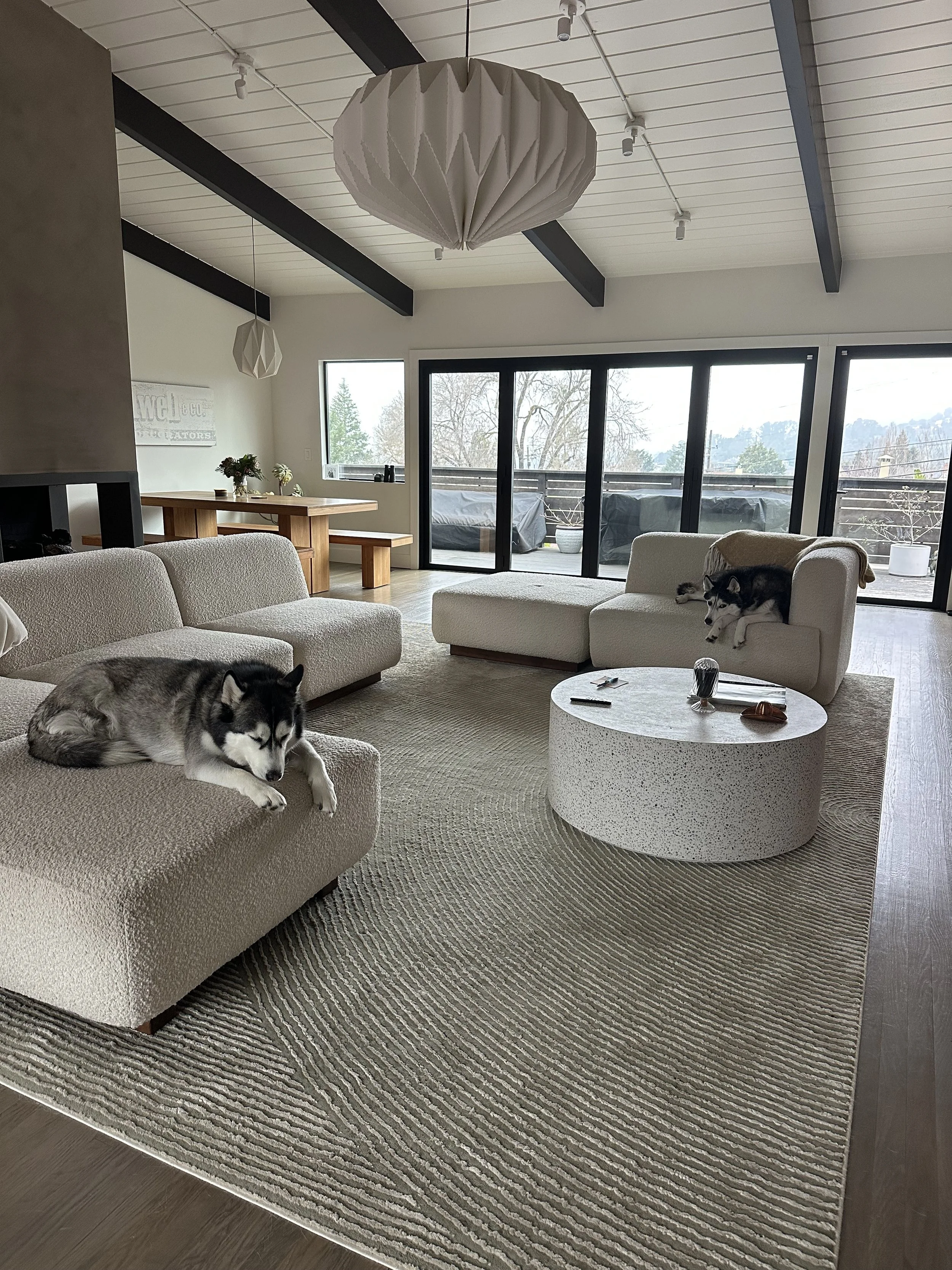 Modern living room with large sliding glass doors, two Siberian Huskies resting on light-colored sofas, a round coffee table with remote controls, and a textured rug.