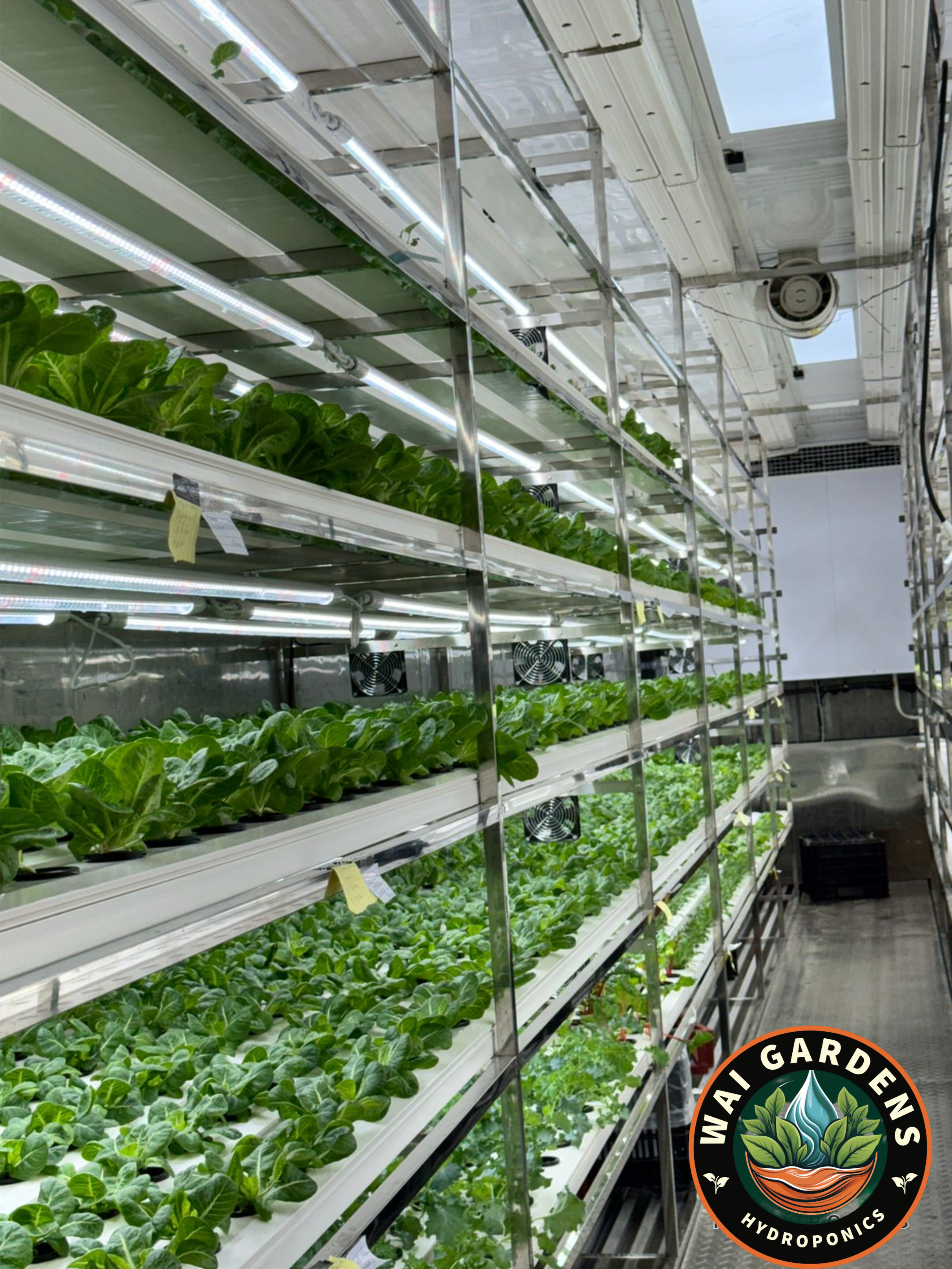 NFT hydroponic indoor system