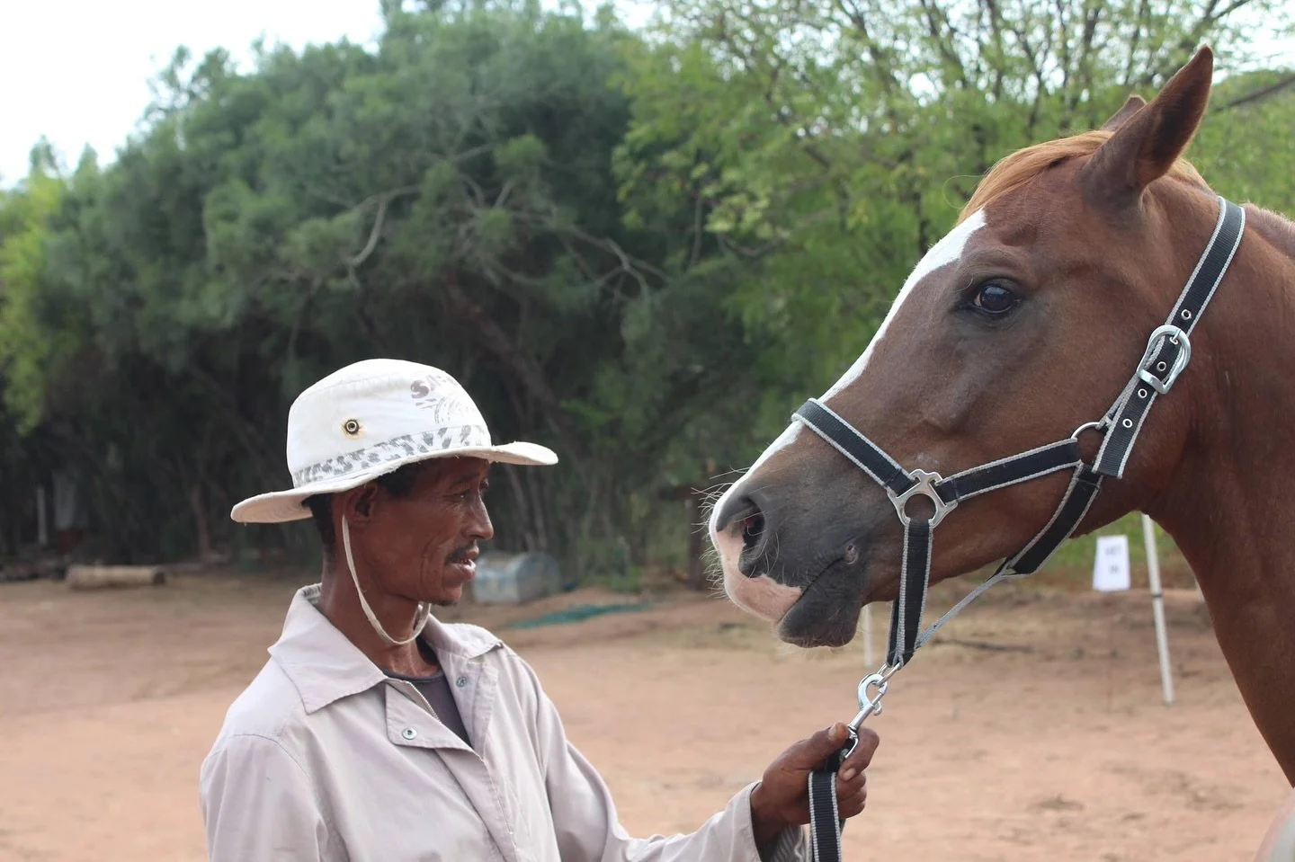 HSB is proud to present our Botswana International Endurance Team that will be competing at the 120km team event at Tantebane Endurance Nationals in September 2025!
Team Manager: Willie Herbst
Team Members: Xukuri Xaxe, Poifo Gakeratwe, Tebogo Tlhogw