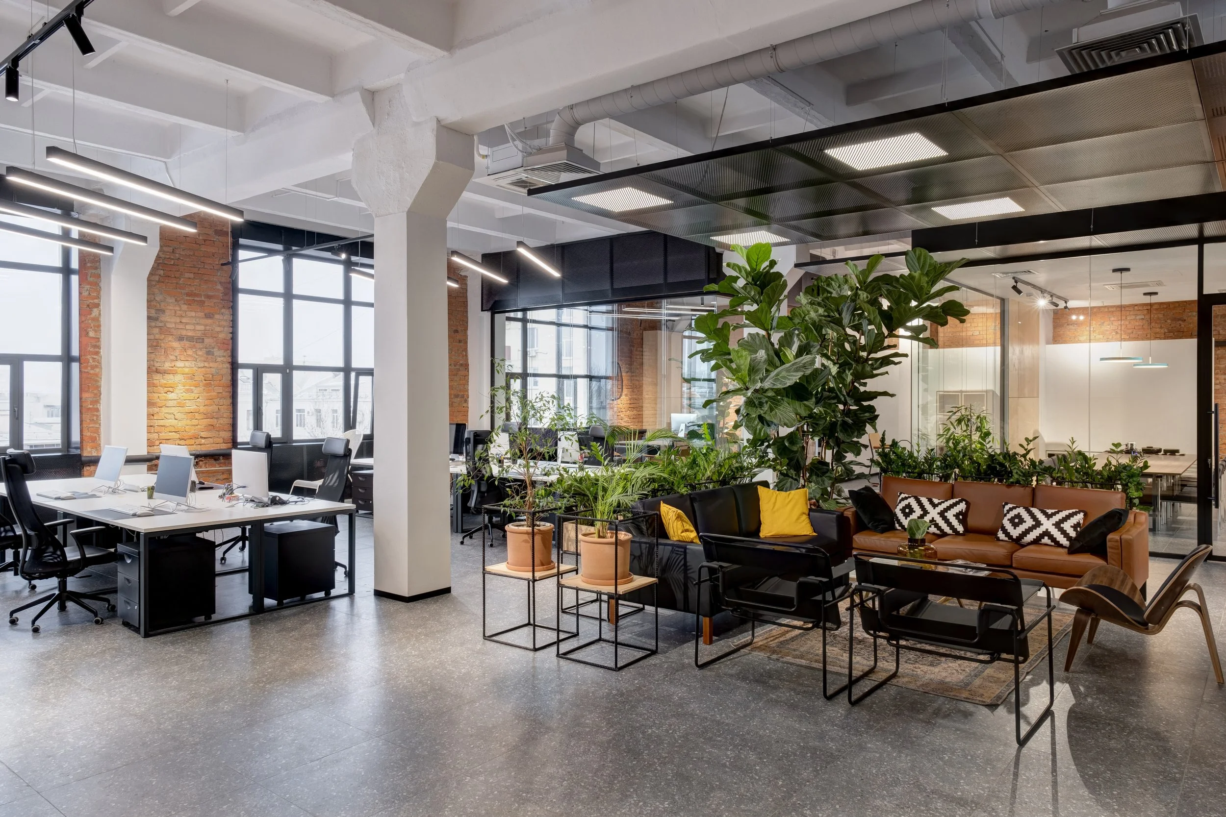 Open office area with large windows, white walls, modern LED lights, several desks with computers and ergonomic chairs as well as a lounge area with sofas, armchairs and lots of plants.