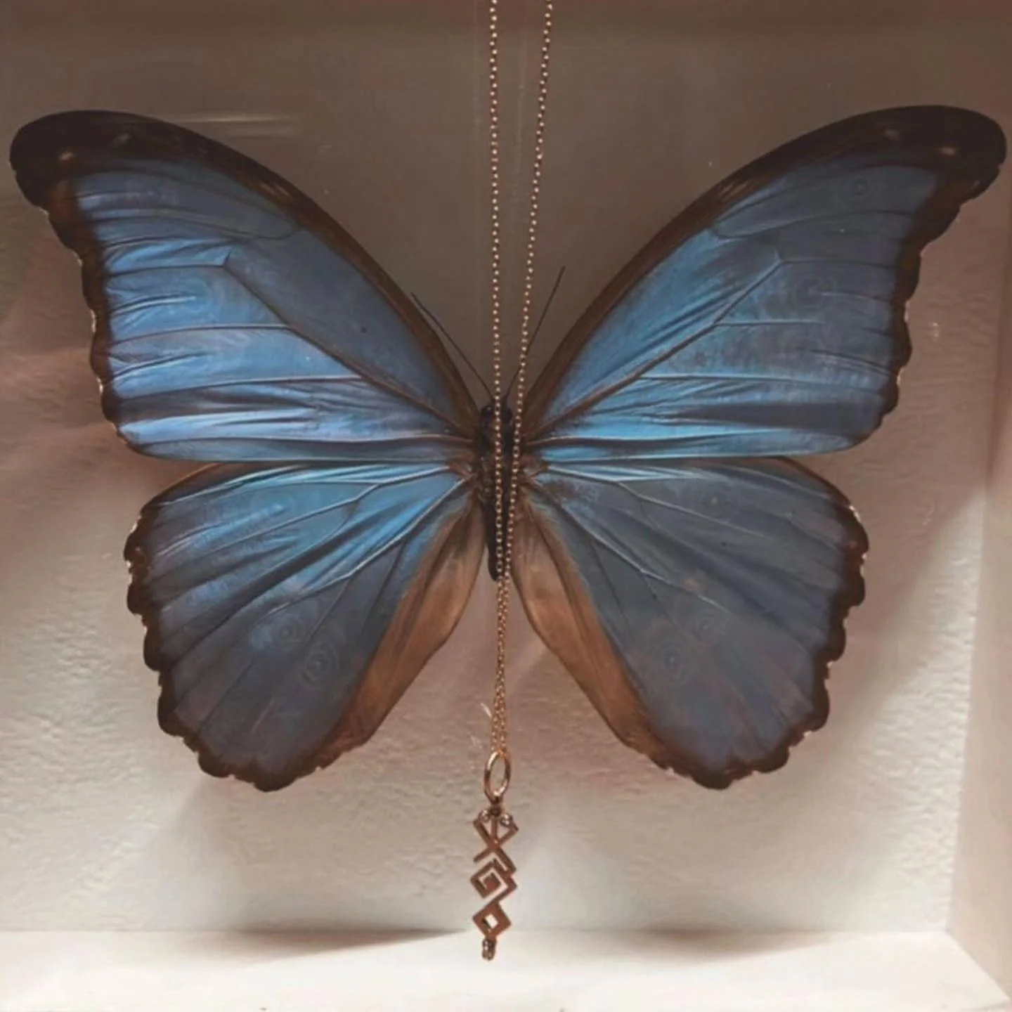 Not just a name&hellip; your story, crafted in gold.
Each curve, each detail is designed just for you &mdash; no copies, no repeats.
18K gold. Timeless. Personal. Yours.
Because your name deserves more than ordinary.

حوّل كلماتك إلى فن من خلال خدمات