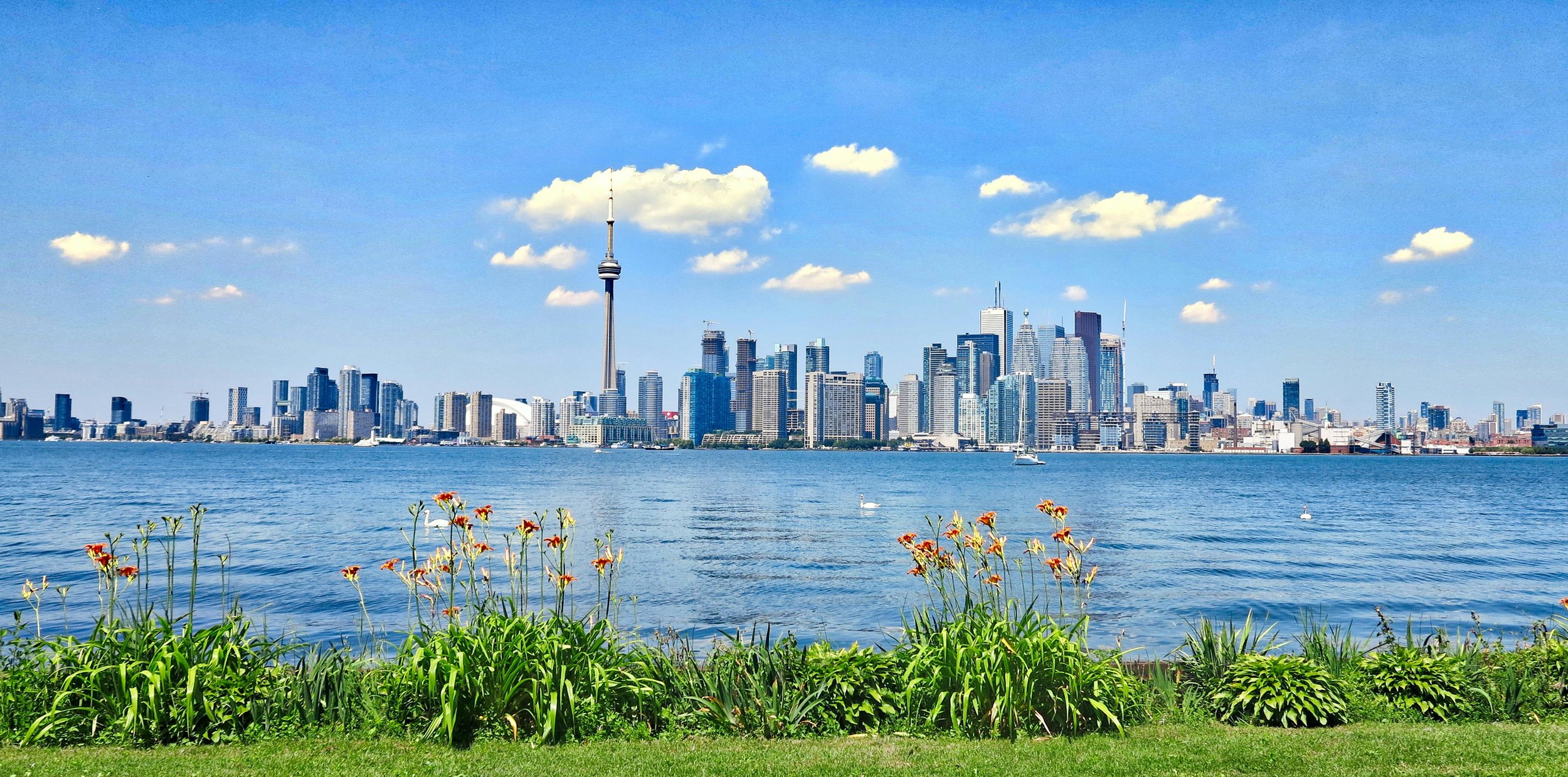 View of the Toronto skyline across Lake Ontario, with green grass and orange flowers in the foreground under a partly cloudy blue sky.