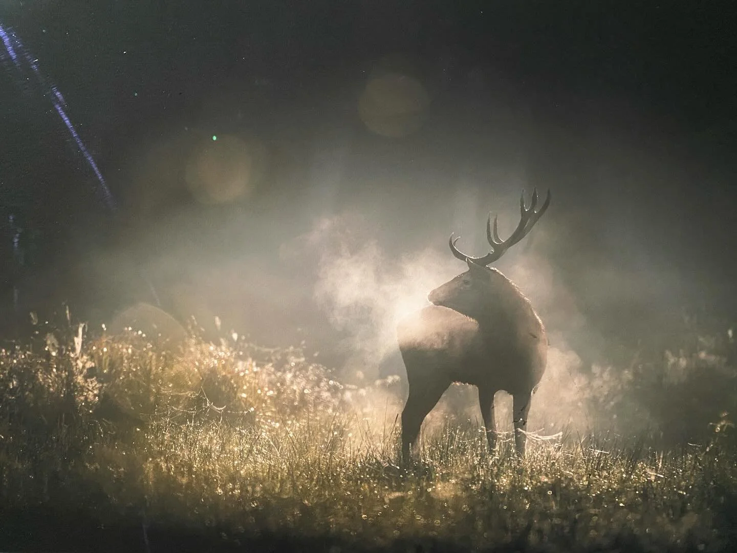 Au Prieur&eacute; de Salagon, j&rsquo;ai eu une tr&egrave;s belle surprise : une exposition consacr&eacute;e &agrave; la for&ecirc;t. Et pour moi, la for&ecirc;t&hellip; c&rsquo;est bien plus qu&rsquo;un paysage. C&rsquo;est un lieu qui parle directe