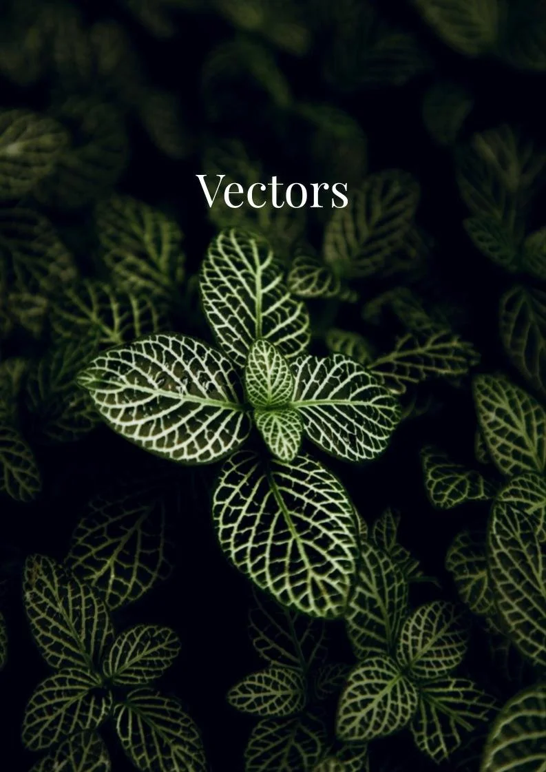 HSC extension two maths vectors exam