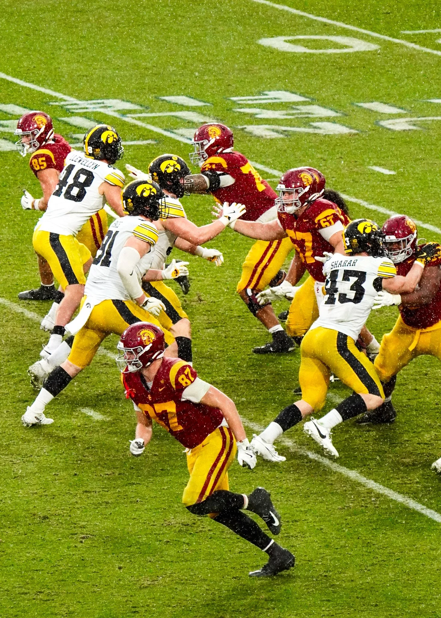 113.jpg