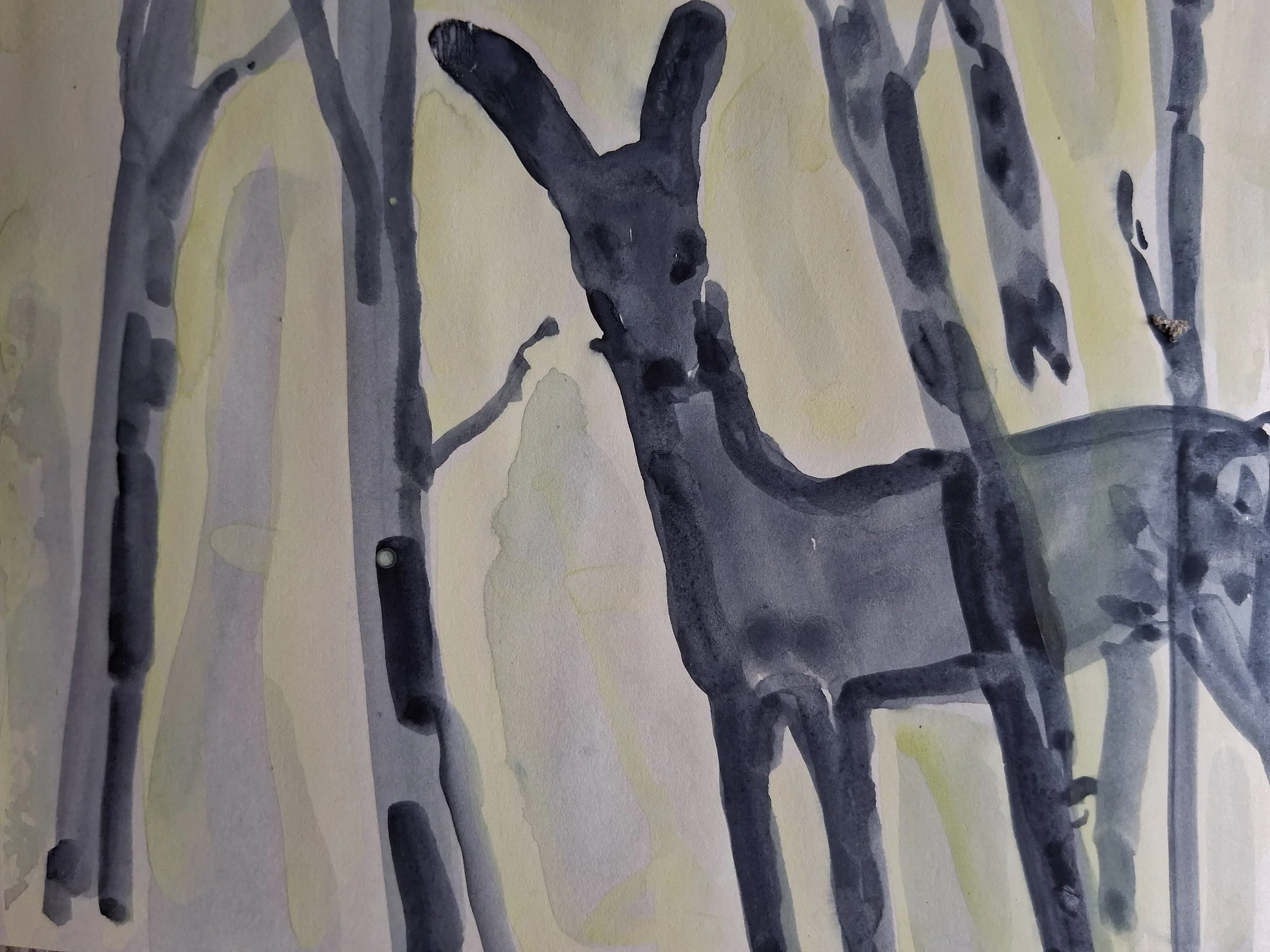 Encounter - Watercolour - 15 x 21cm