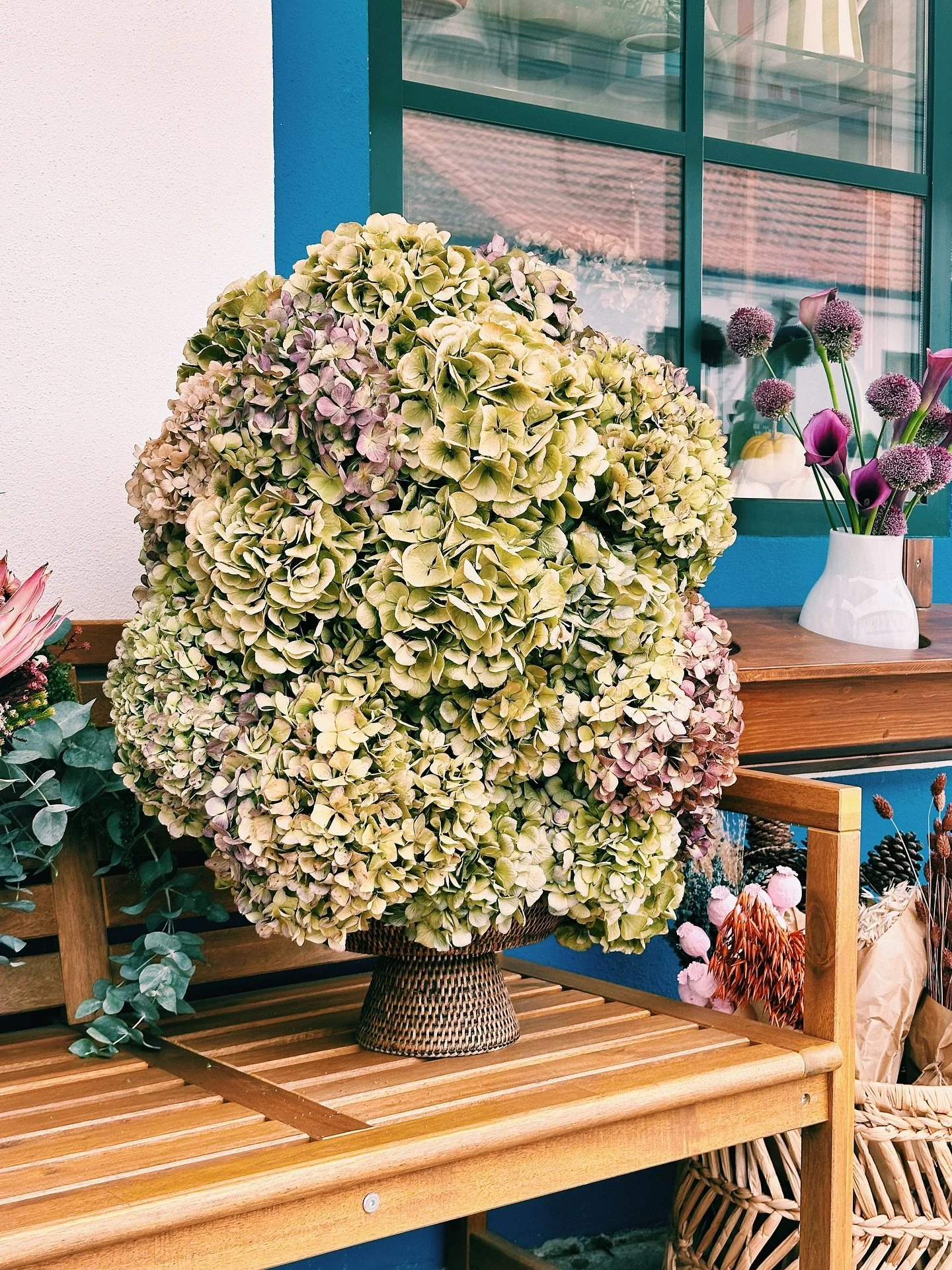 Trabalho de secagem de hort&ecirc;nsias terminado 💚
#monitta #monittacomporta #comporta #flores #hortensias #floressecas #flowers #dryflowersdecor