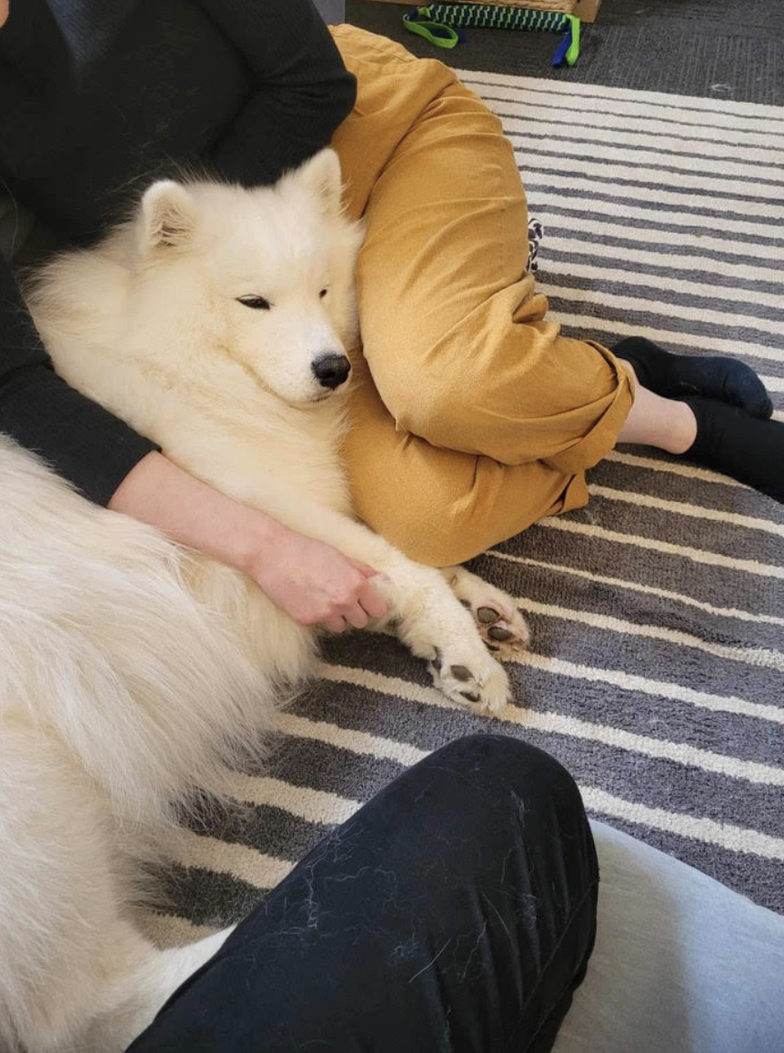 Person sitting on a striped carpet, hugging a fluffy white dog that is lying on its side. The person is wearing black socks and mustard yellow pants, with black sleeves visible. The dog's eyes are partially closed.