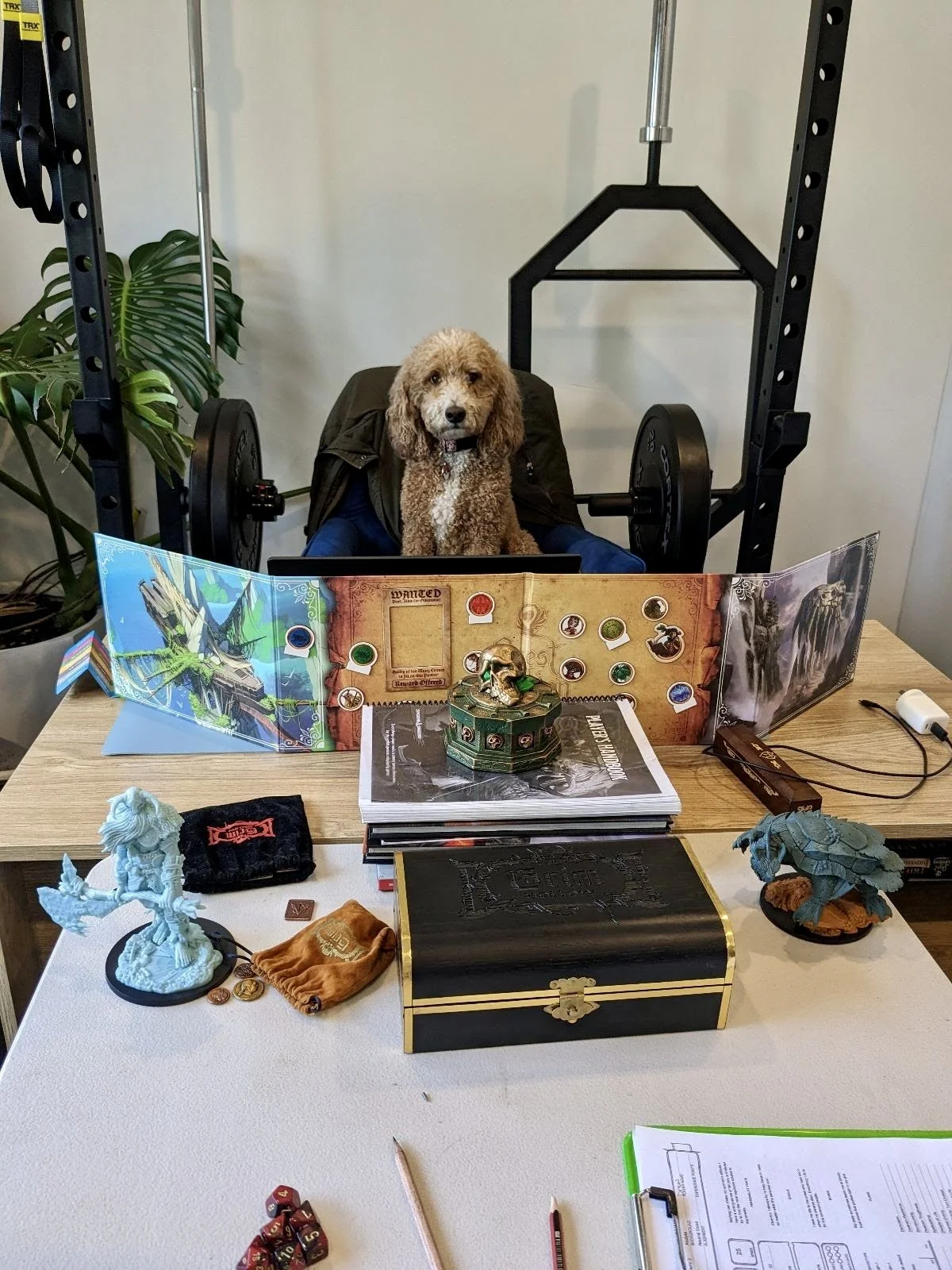 Mako D&D (2).jpg
