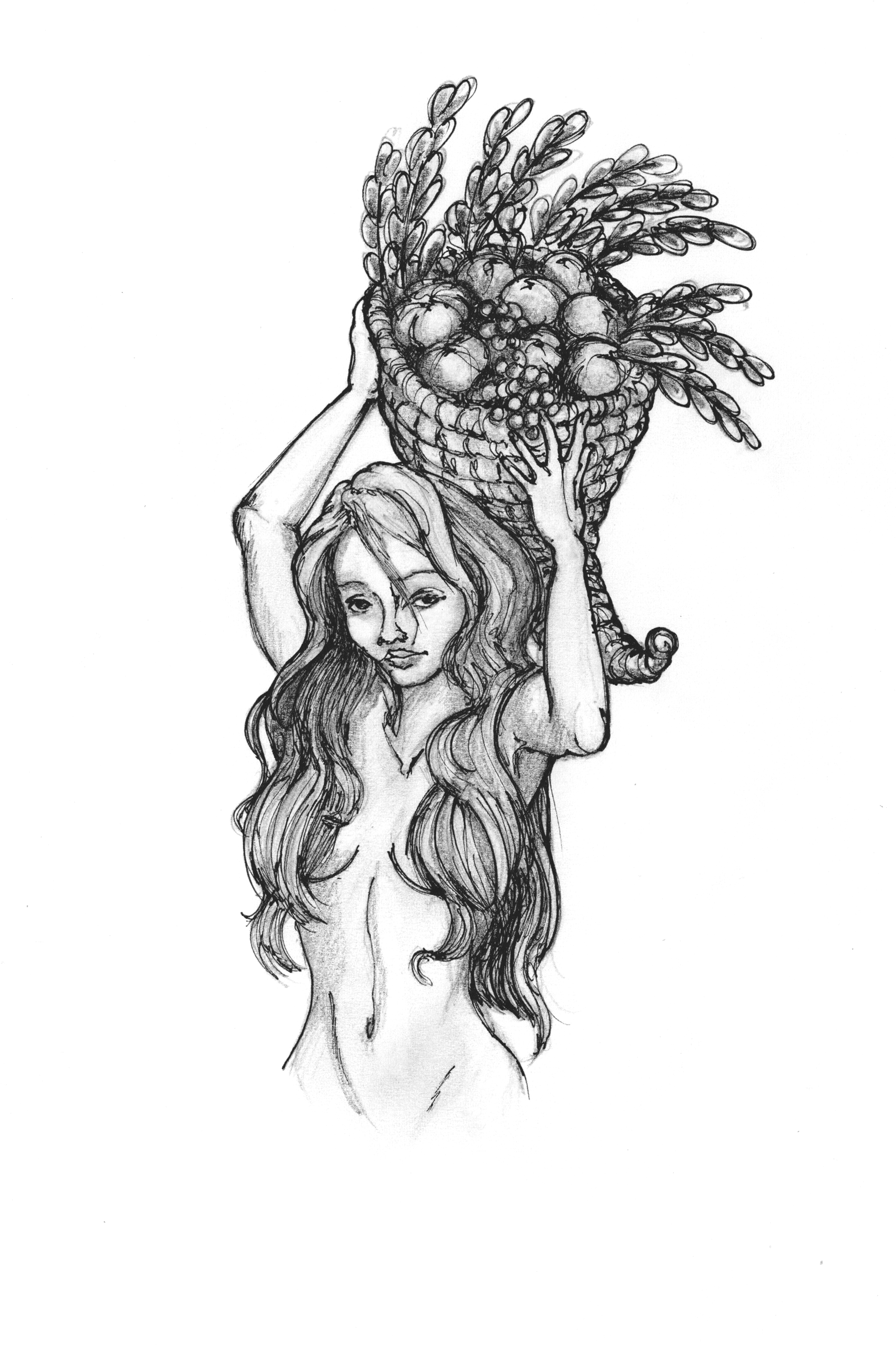 Corne d'abondance (dessin au crayon, encre)