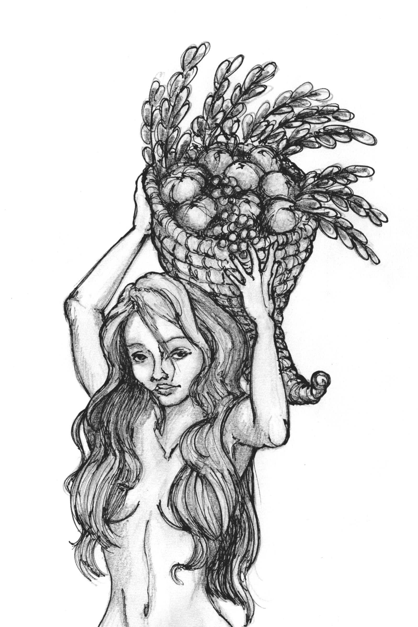 Corne d'abondance (dessin au crayon, encre)