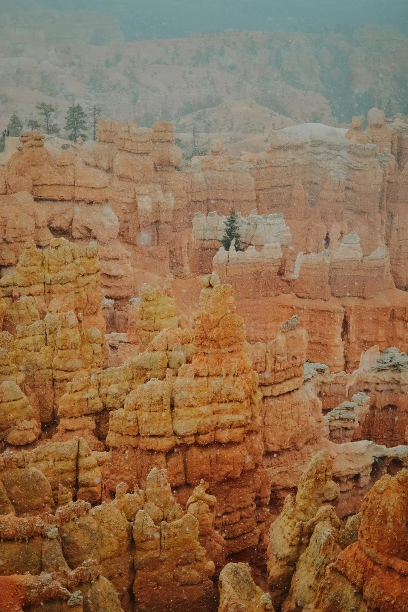 DSC_0047.jpg
