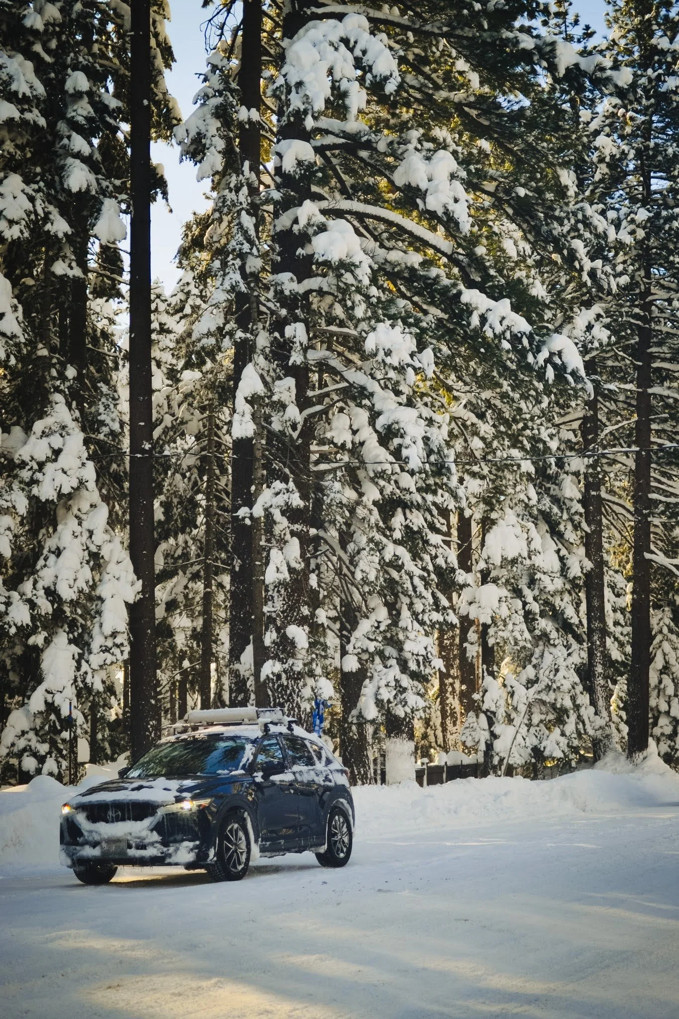DSC_0134.jpg