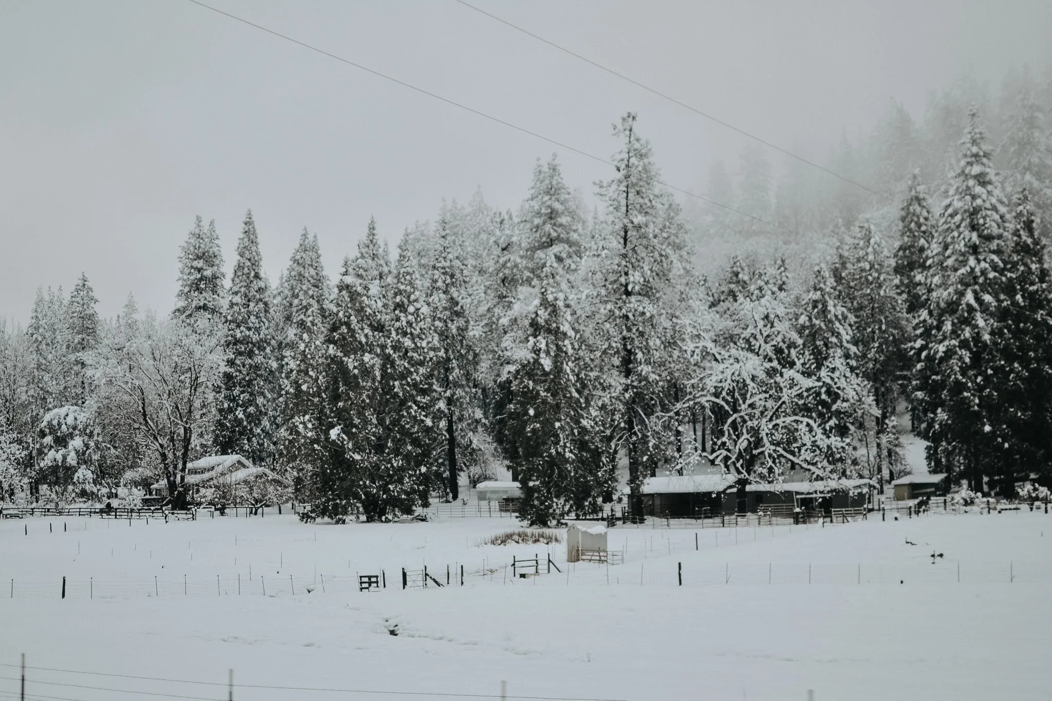 DSC_0061.jpg