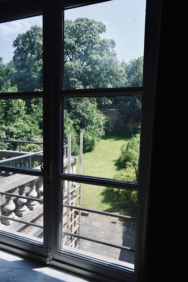 View through a window showing green trees, a grassy yard, and bright blue sky outside.