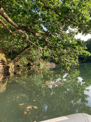 Frenchman's Creek, Helford River