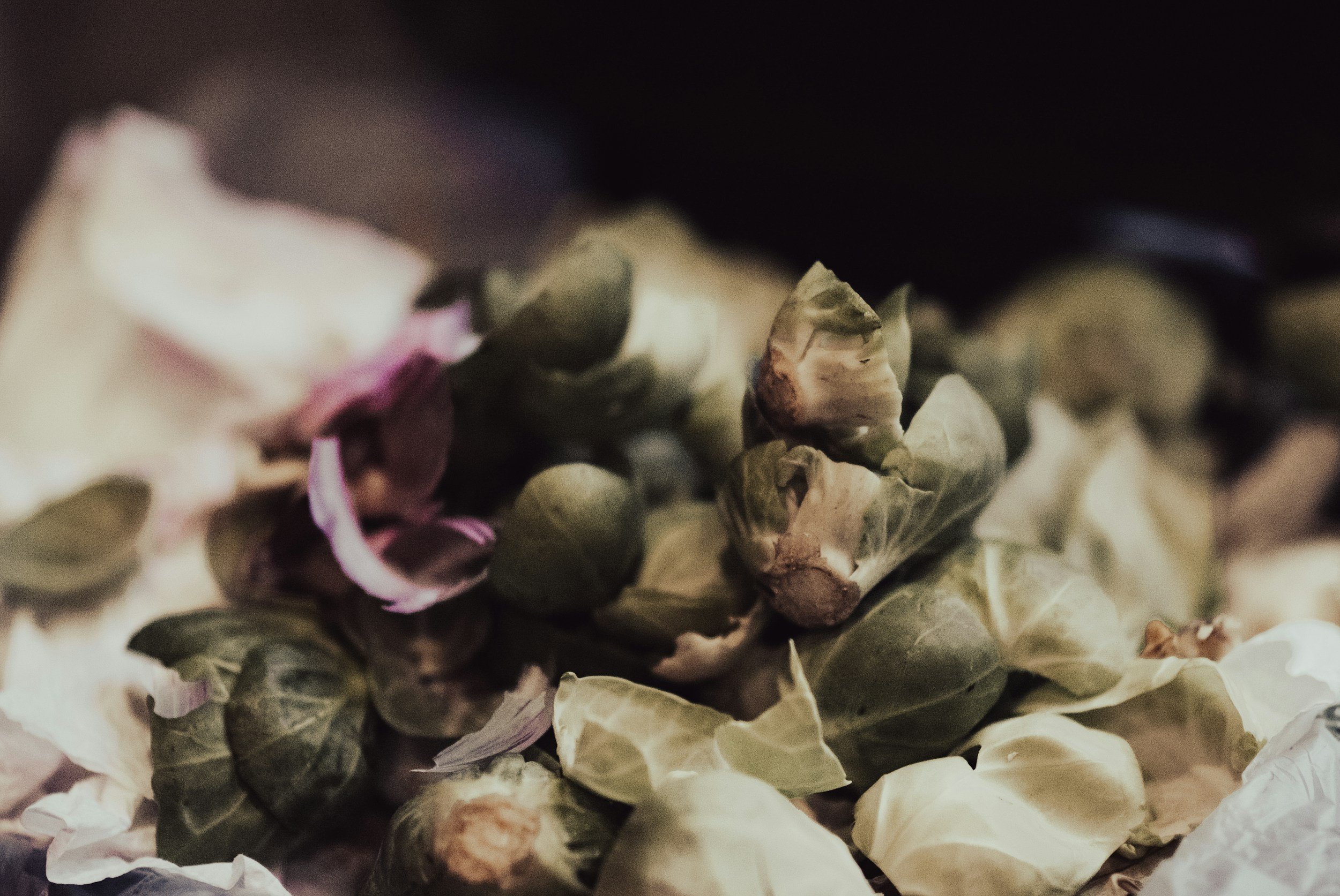 Trasformare gli scarti alimentari in mangimi animali