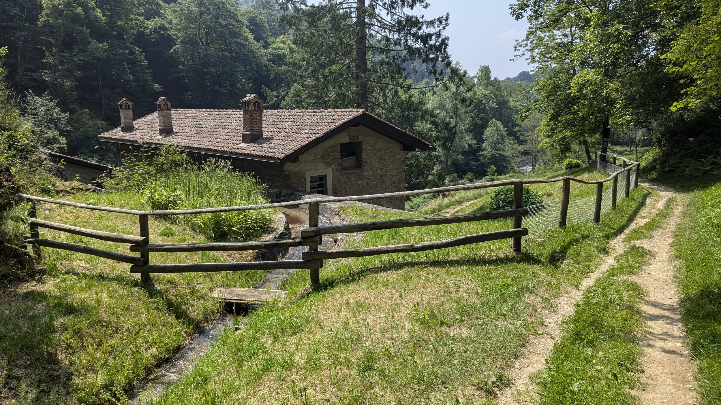 Interventi selviculturani Magli Malcantone_3.jpg