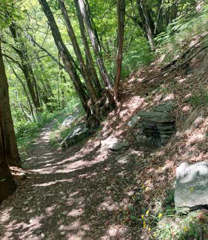 LEMaSPASS, sentiero tematico per famiglie