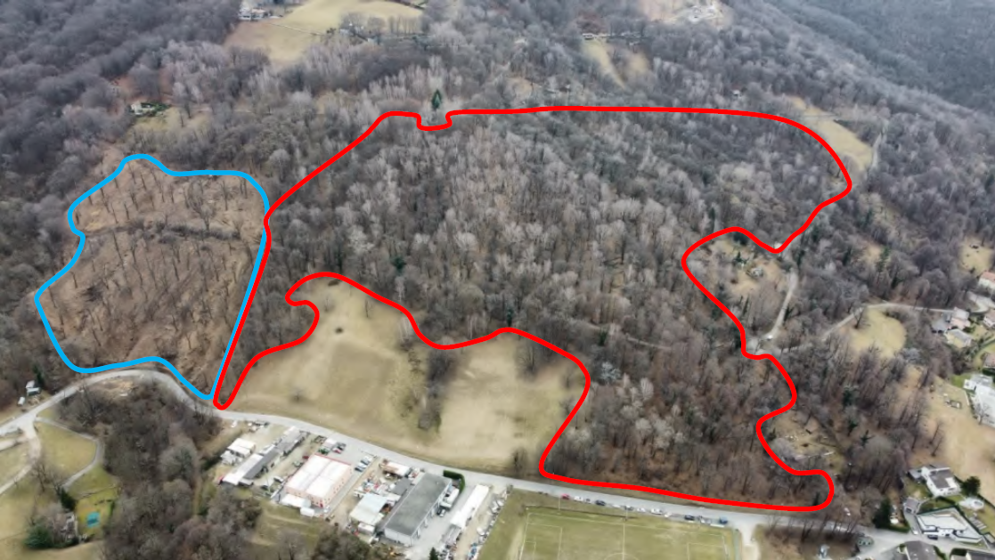 selva castanile cugnoli.png