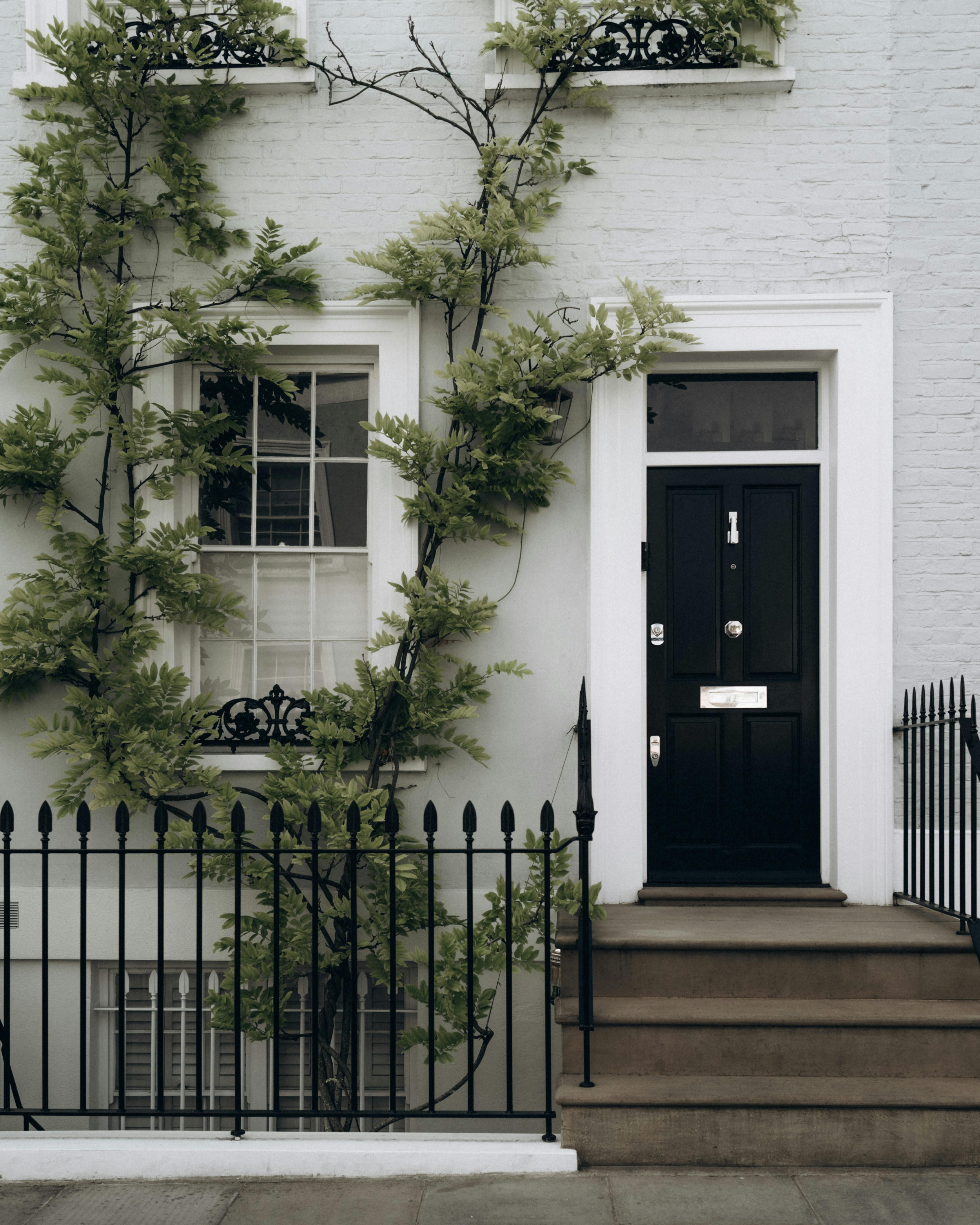 White brick house with black front door, window with white trim, and stairs leading to the entrance. Green vine plant growing along the wall and black railing surrounding the stairs.