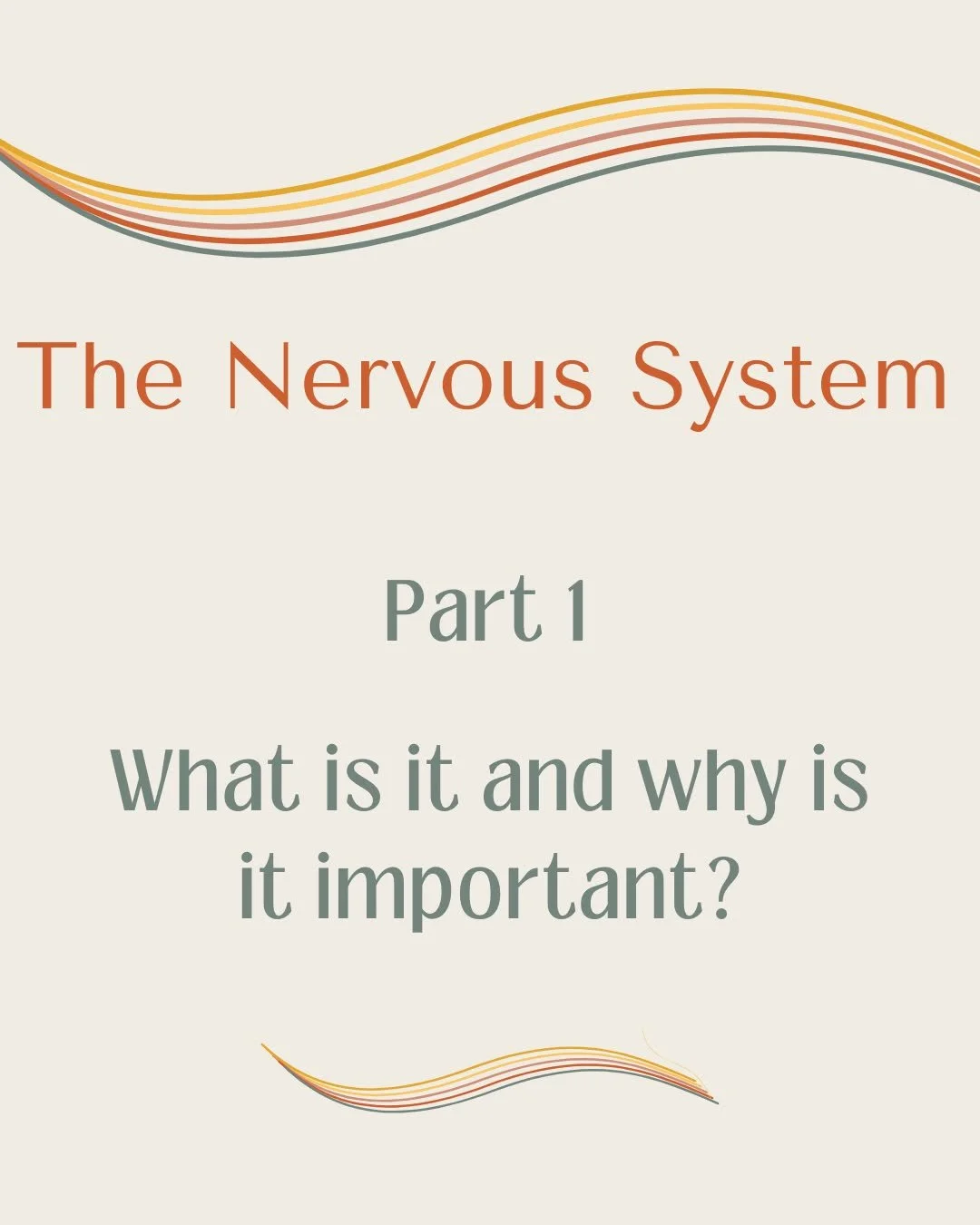Regain control of your nerves 💫 Part 1 - What is the nervous system and why is it important

✨The nervous system is the foundation to so much of our wellbeing and everyday sense of self. 
✨ It is our threat response system, evolved to keep us safe.

