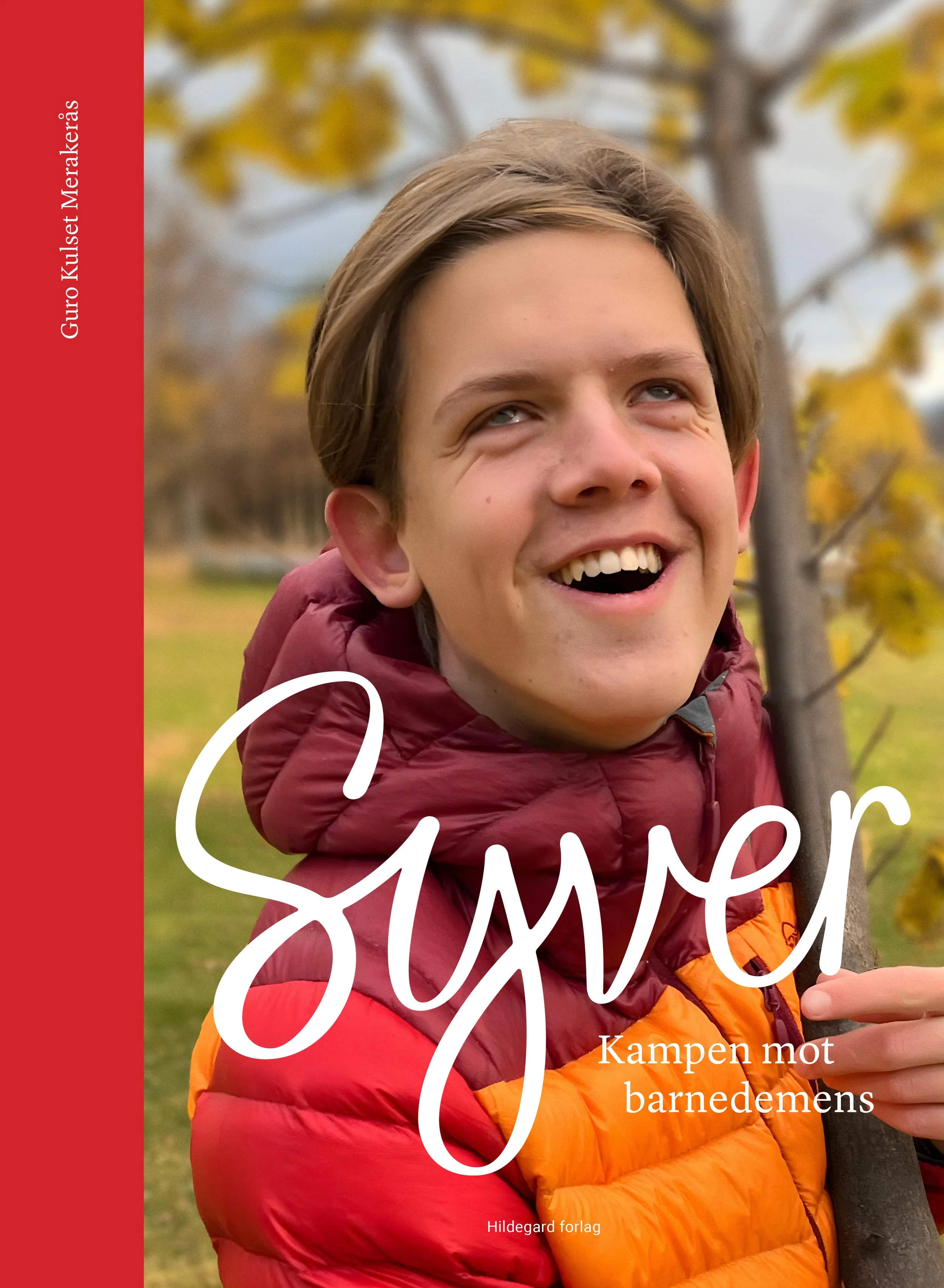 Cover Syver stor fil.jpg