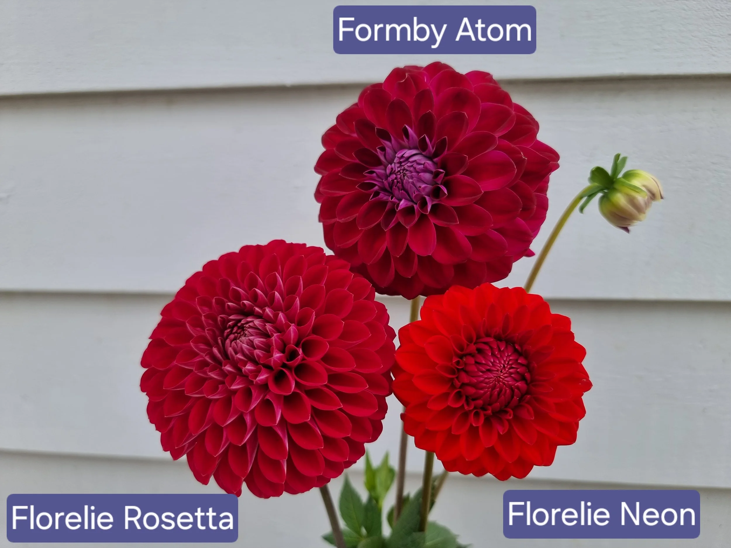 20250209_103533.jpg