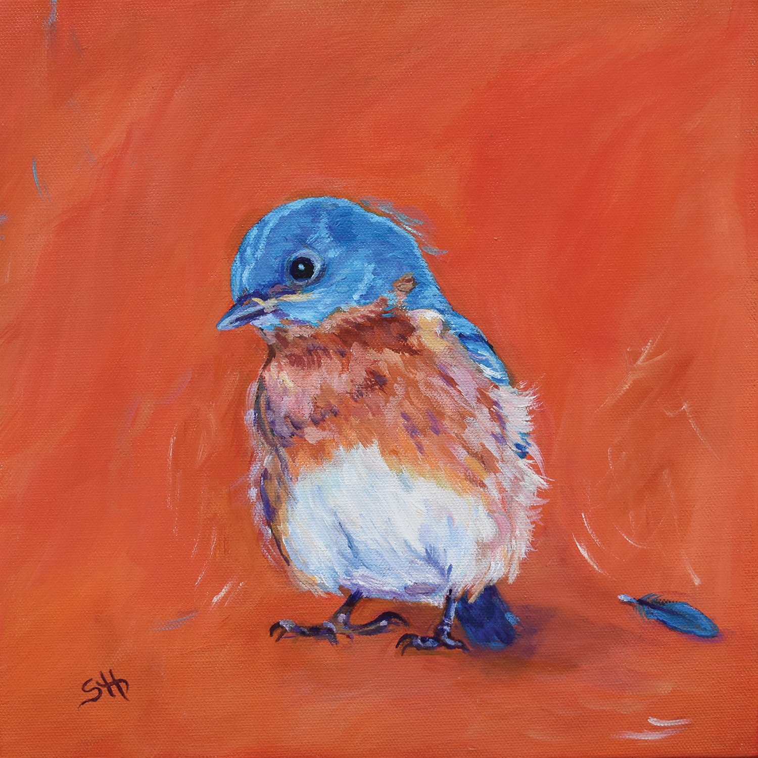 Bluebird loses a feather_Herrault.jpg