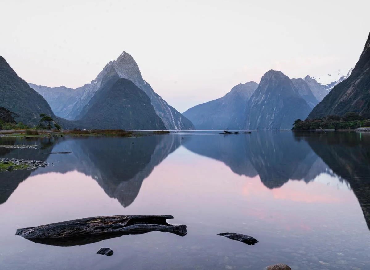 Moyatoh and New Zealand
