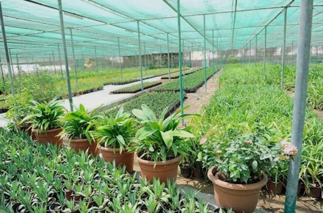 WhatsApp Image 2025-08-02 at 13.41.01.jpeg