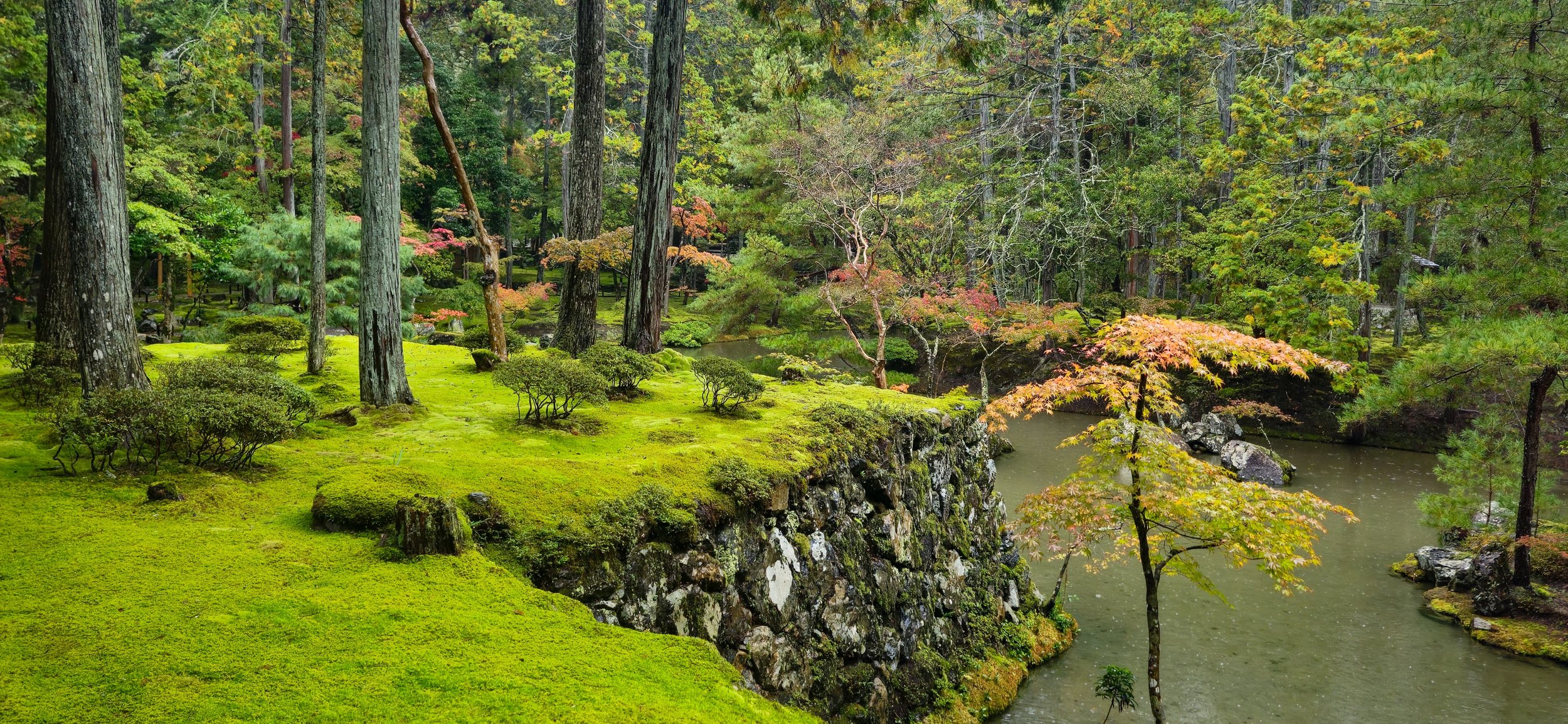 Kyoto Japan Silent Walk