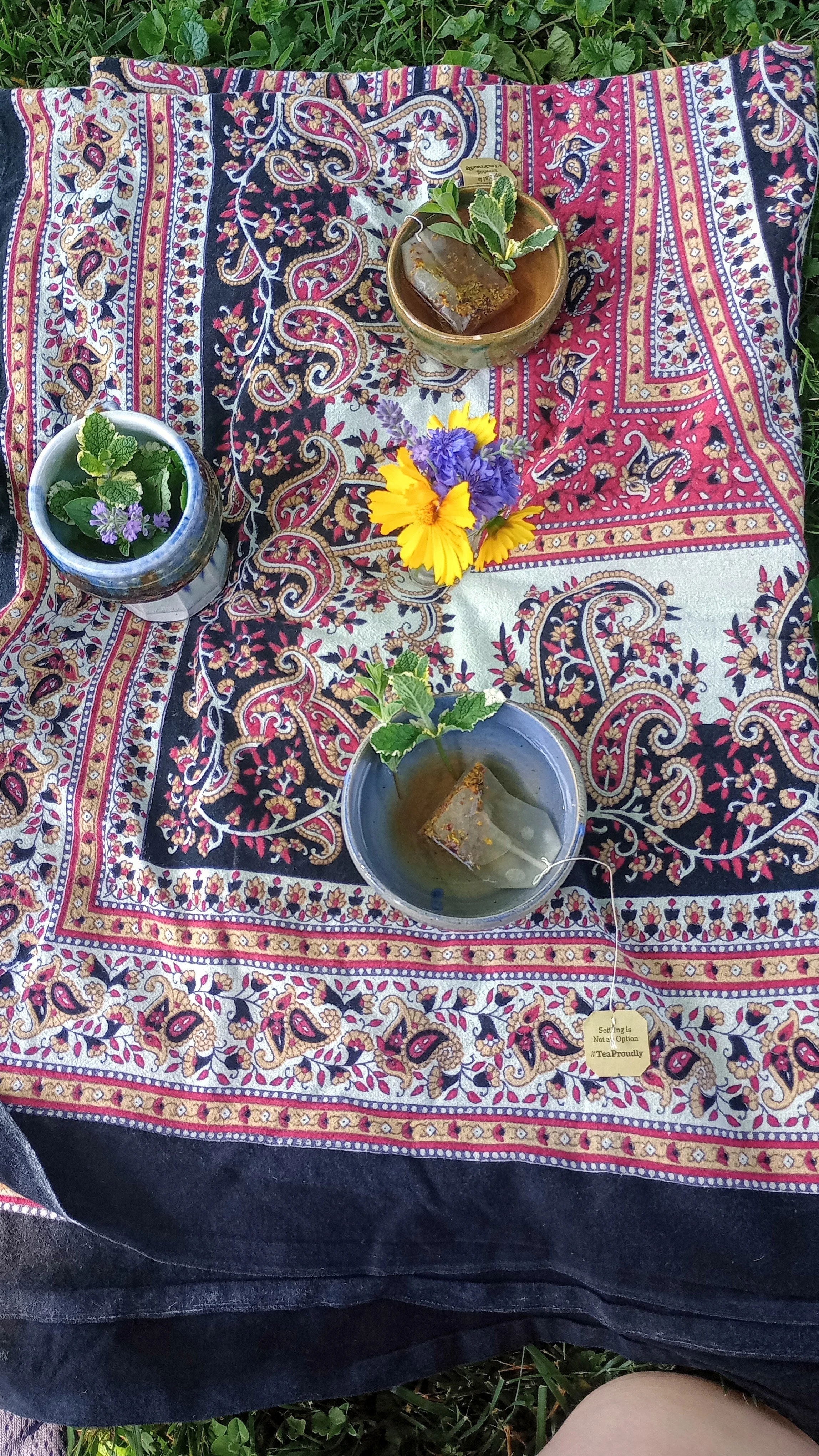 Tea after the partial solar eclipse on April 8th, 2024