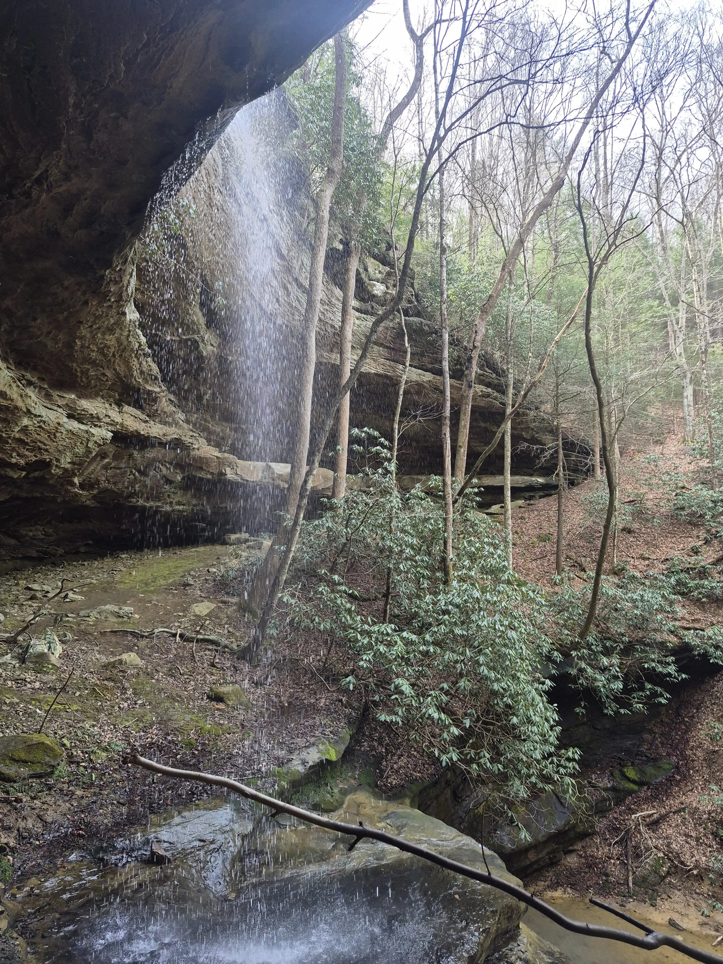 Nature Bathing at Horseshoe Falls, Muir Valley. 