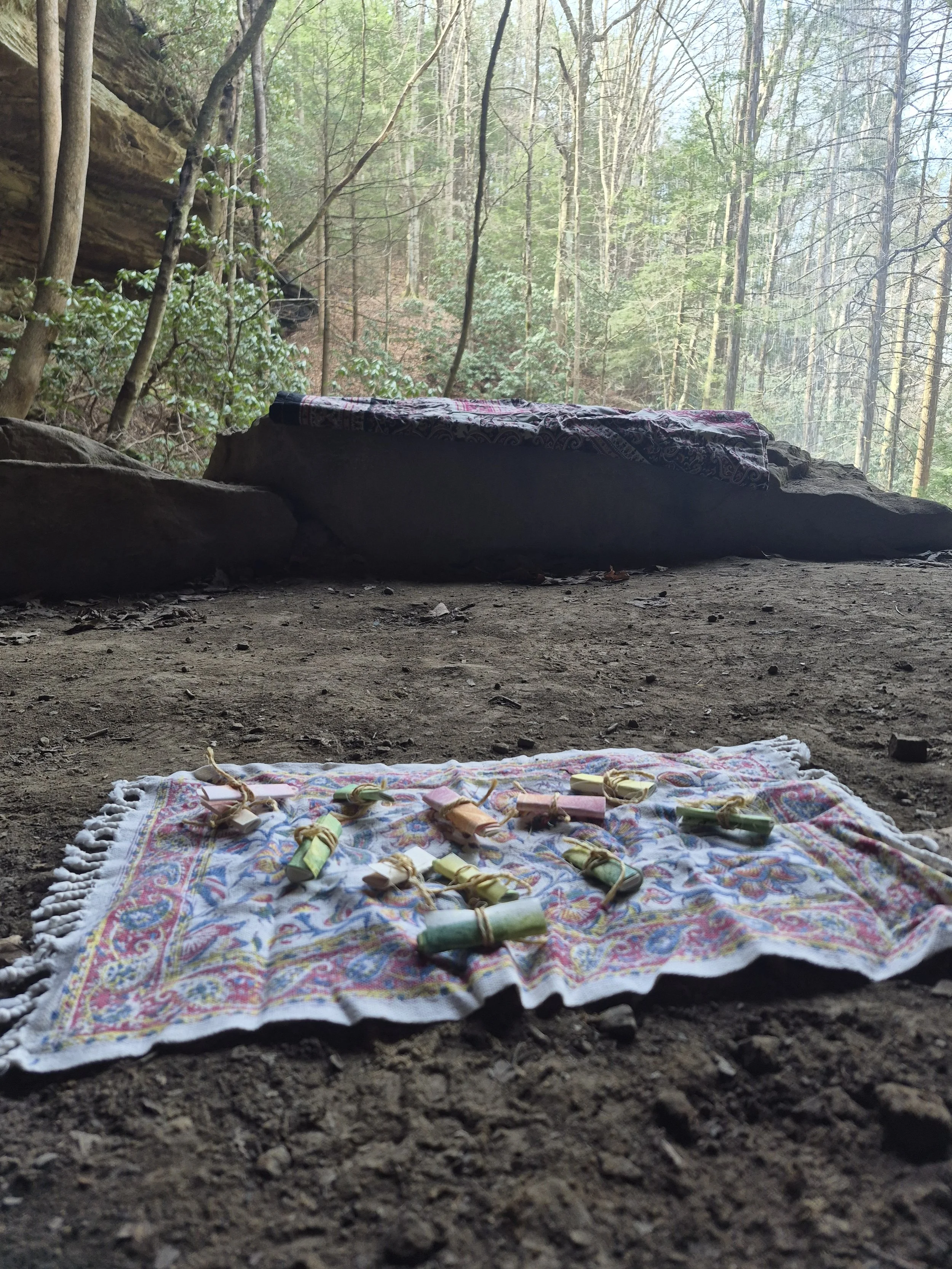 The beginning of a Nature Bathing experience at Muir Valley, Rogers, KY. 